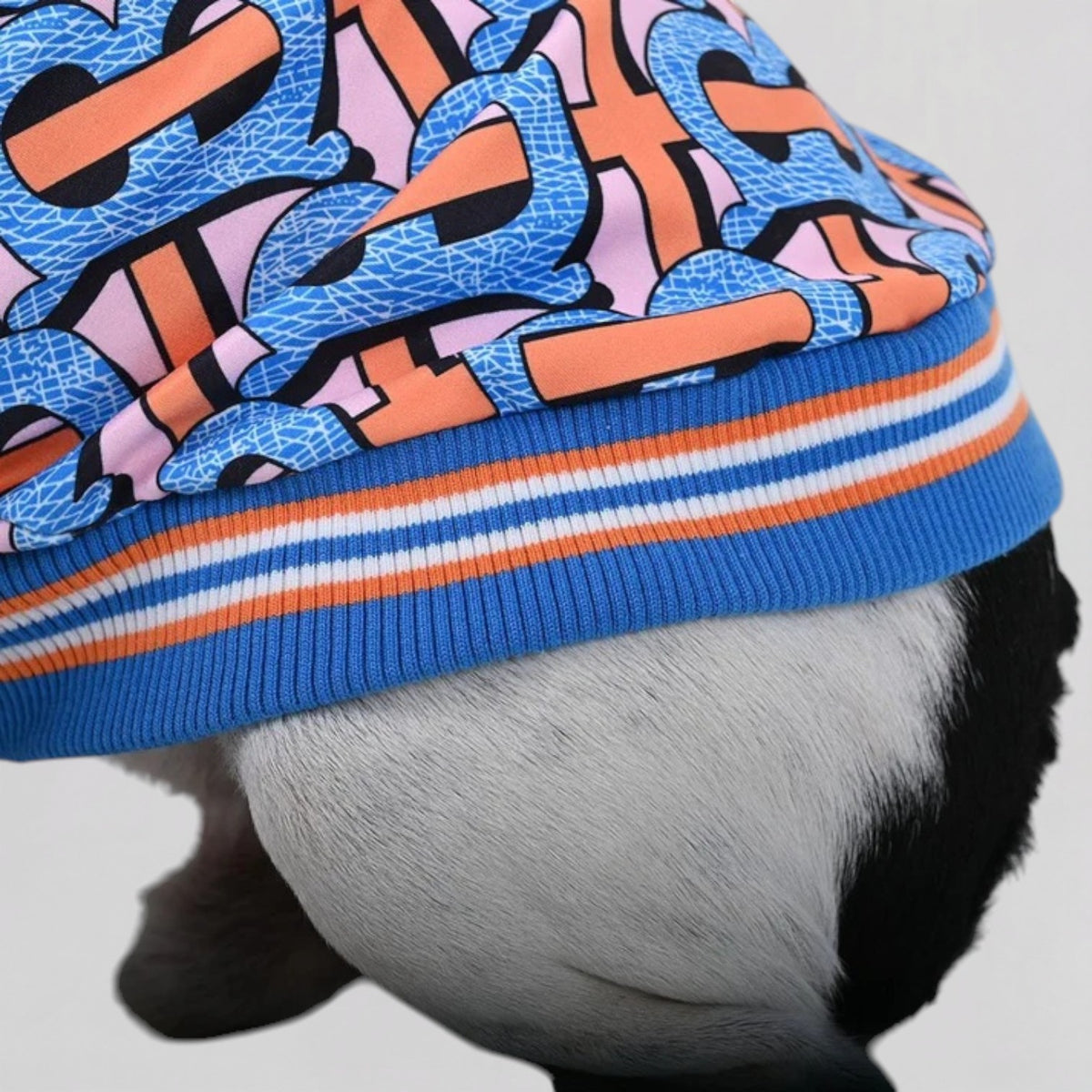 SnugVibe-Pug-Warm-Printed-Hoodie.jpg
