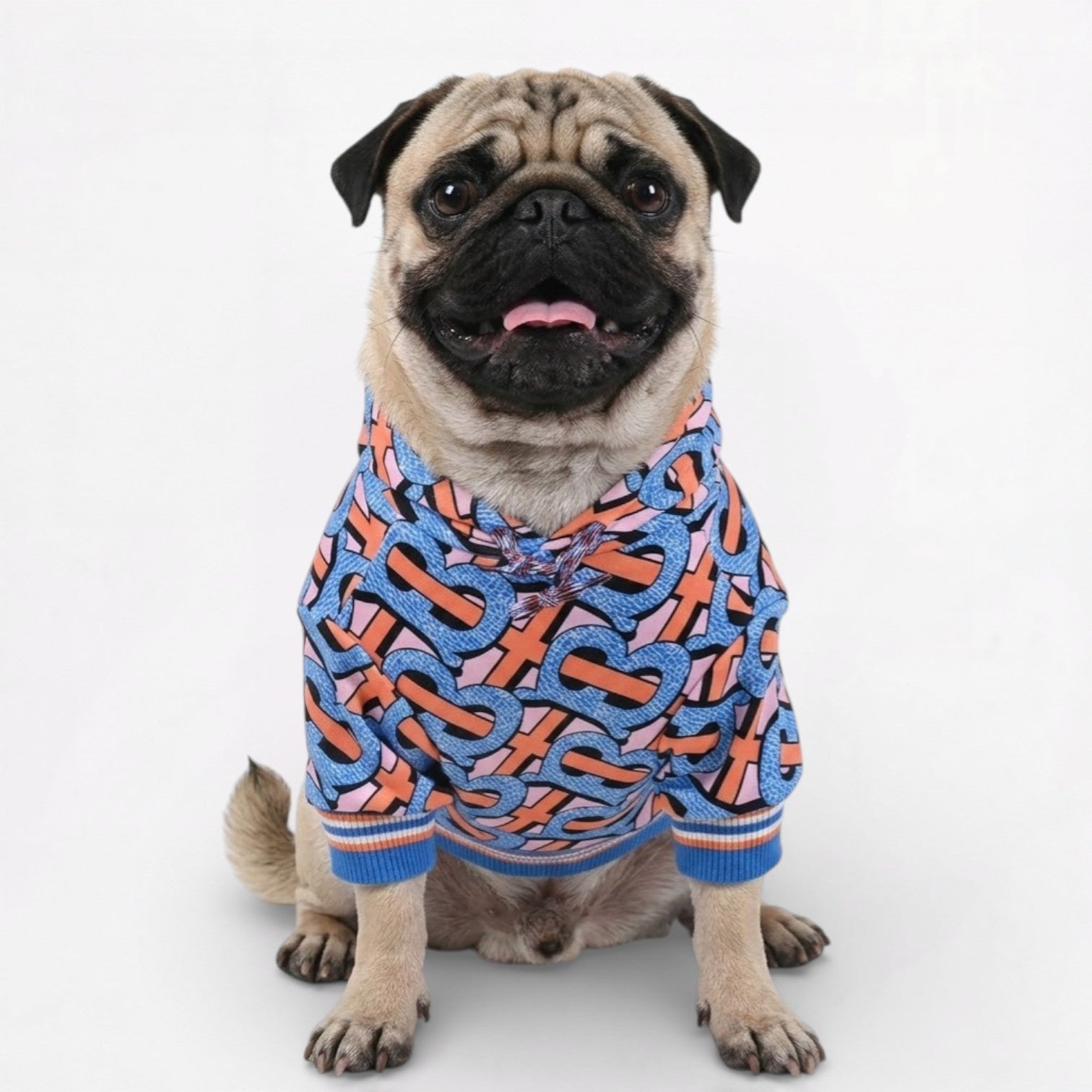 SnugVibe-Pug-Warm-Printed-Hoodie.jpg