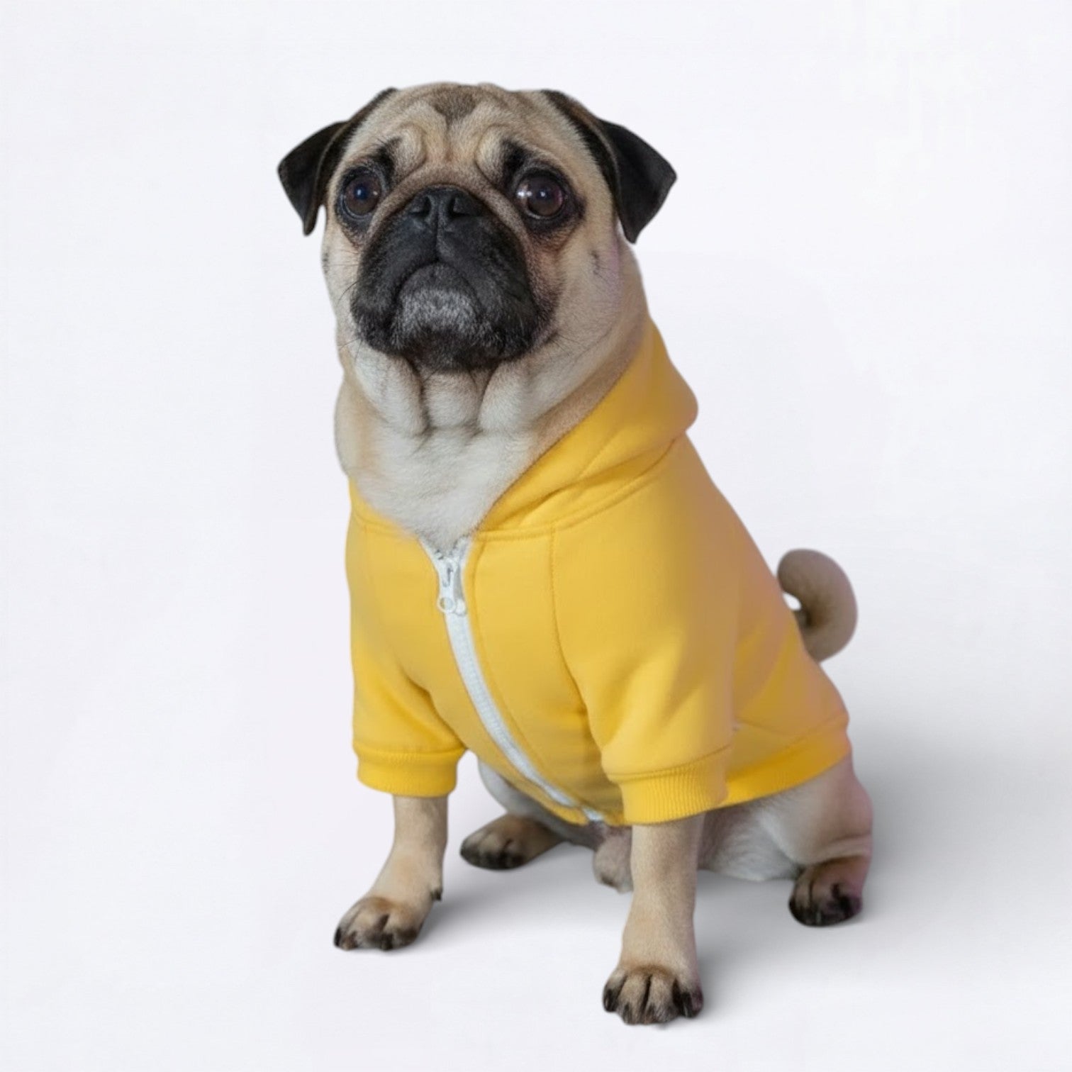 SnugglePup-Pug-Warm-Hoodie.jpg