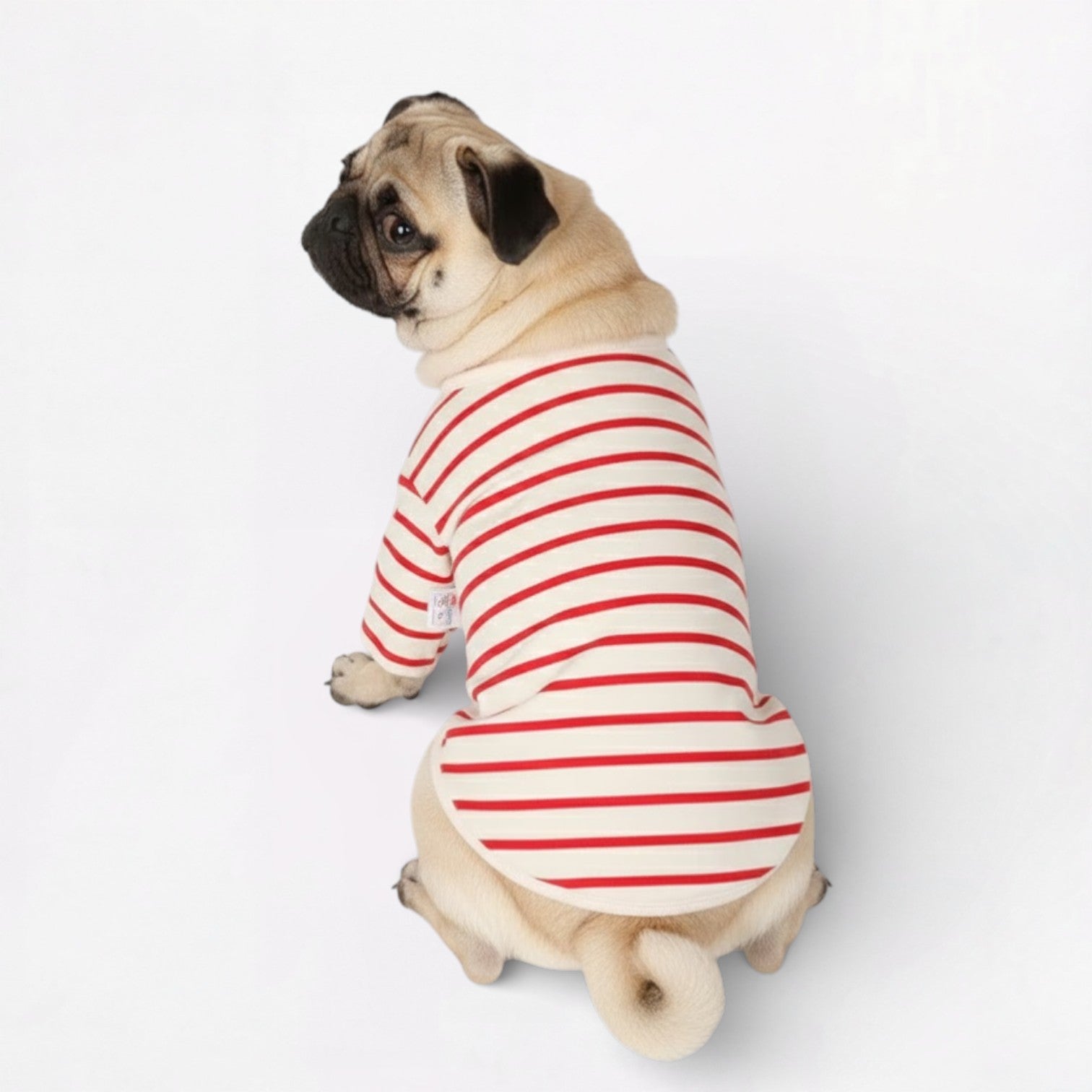 SnuggleStripe-Pug-Winter-Shirt.jpg