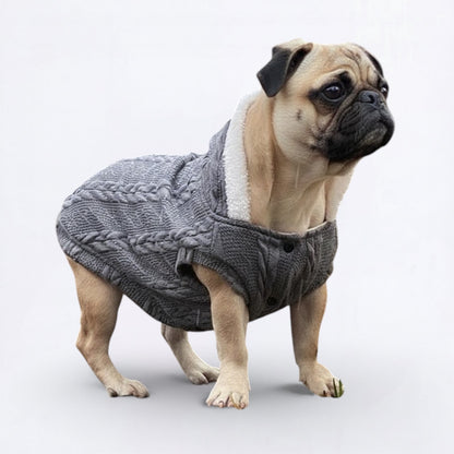 Snuggle-Pug-Winter-Sweater.jpg