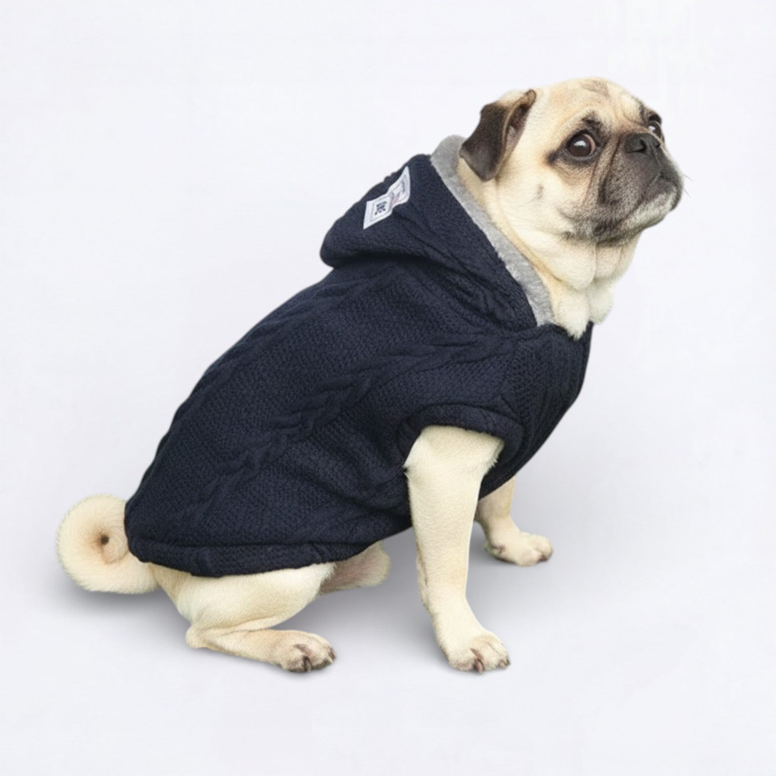 Snuggle-Pug-Winter-Sweater.jpg
