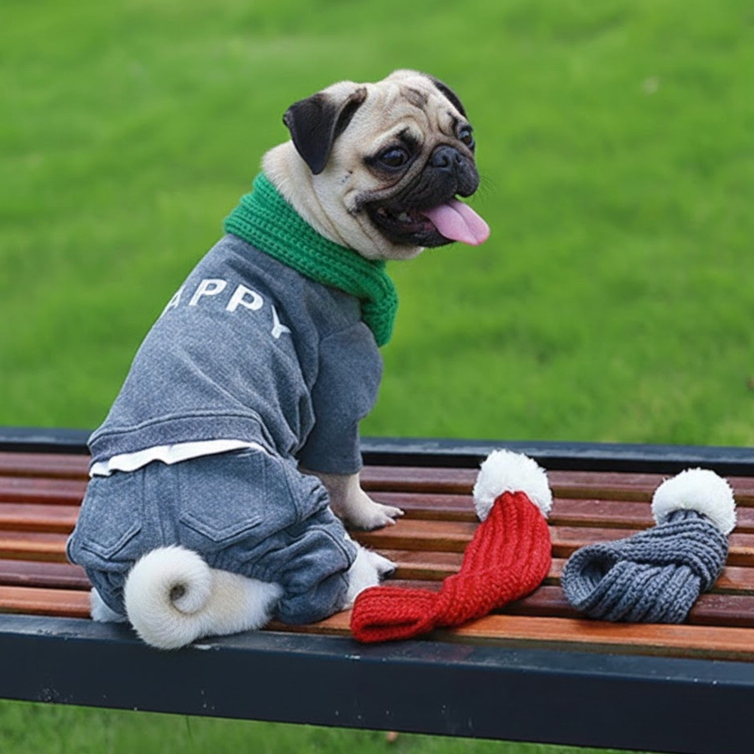 Snuggo-Pugs-Christmas-Knit-Scarf.jpg