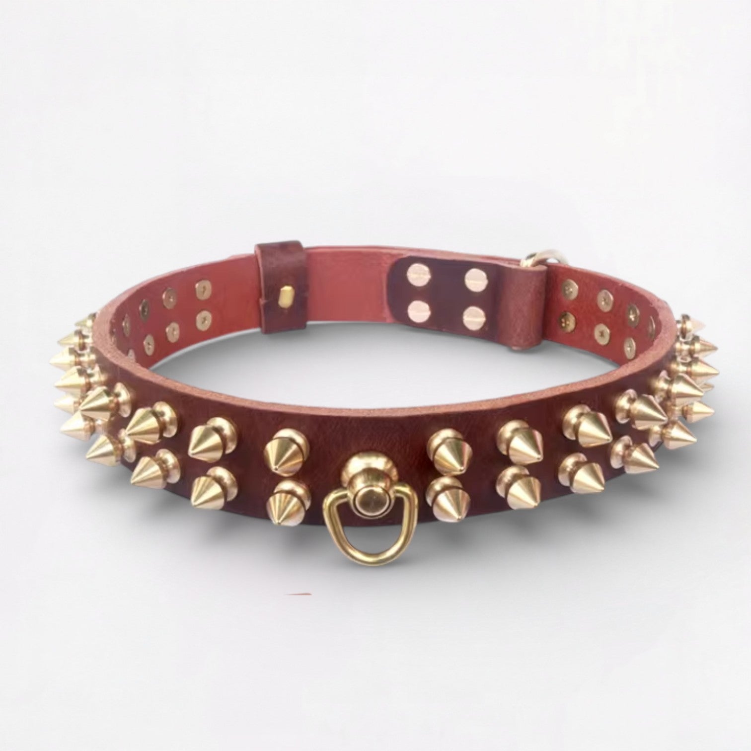 SpikeLux-Pug-Riveted-Collar.jpg