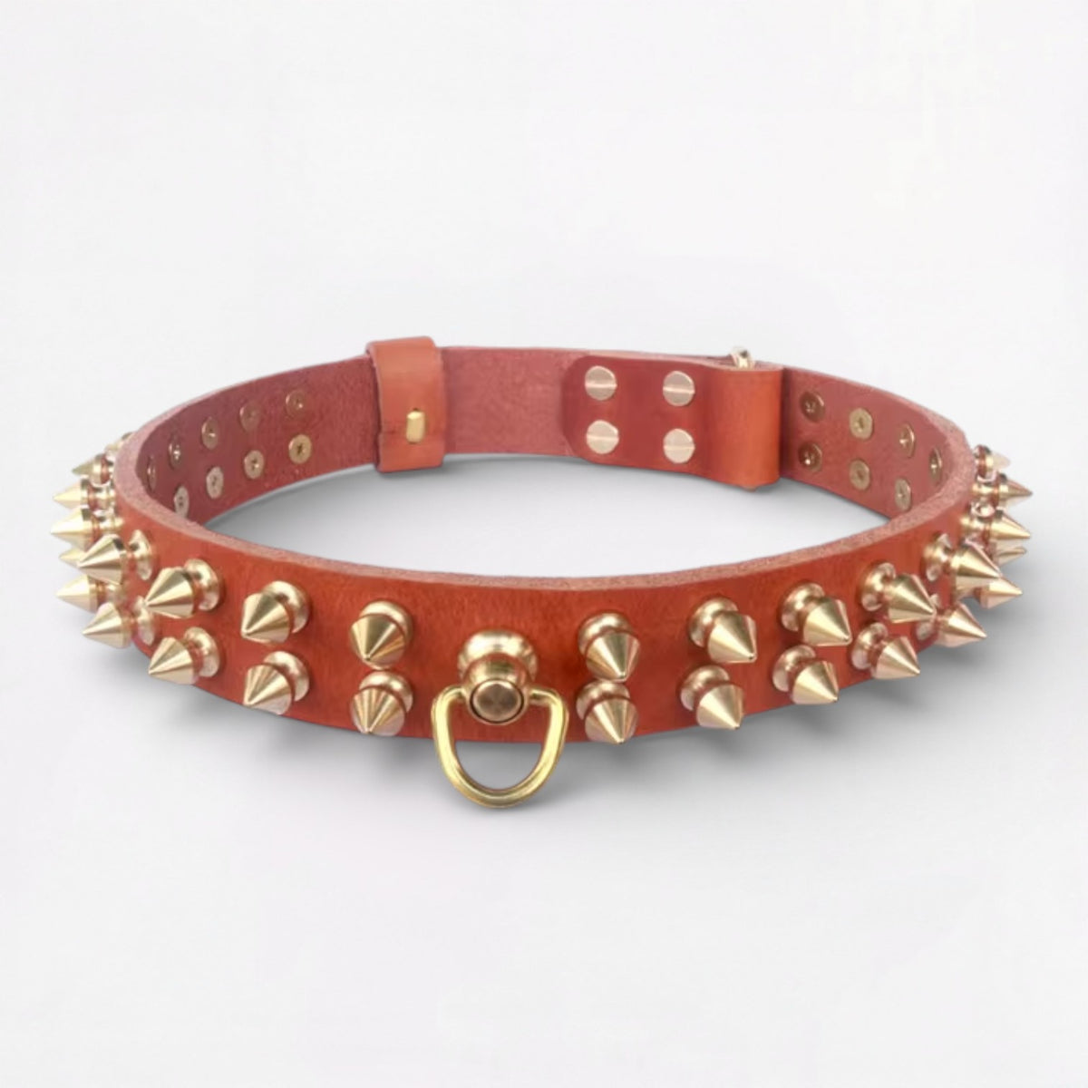 SpikeLux-Pug-Riveted-Collar.jpg
