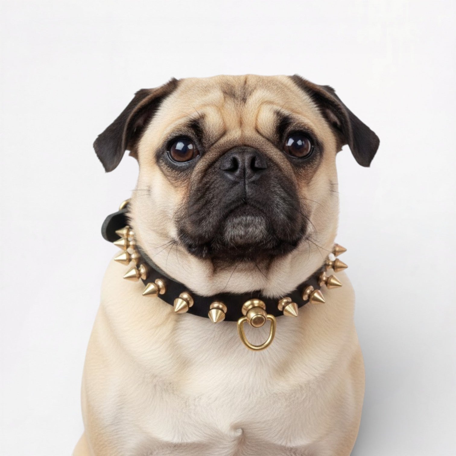 SpikeLux-Pug-Riveted-Collar.jpg