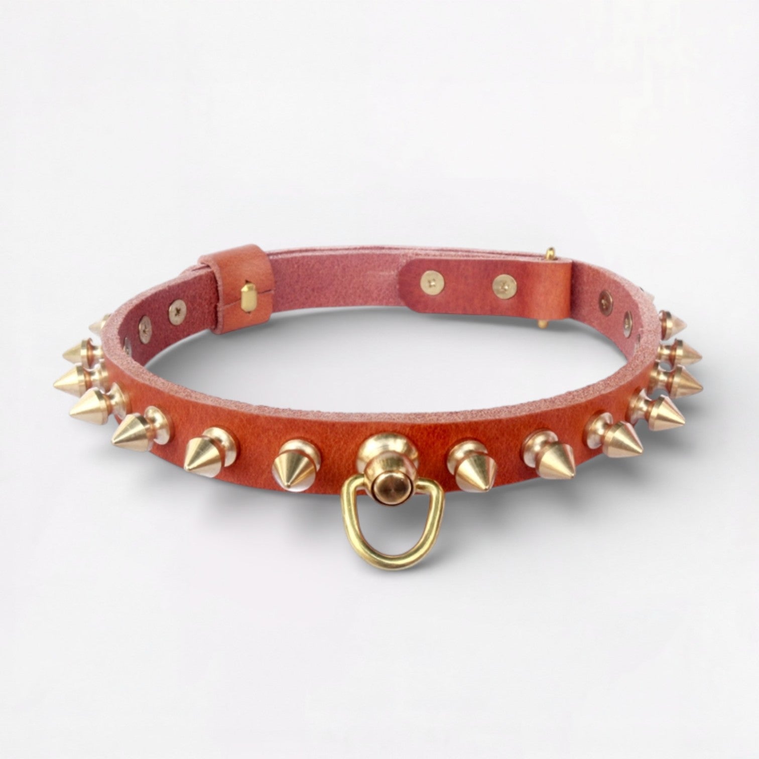SpikeLux-Pug-Riveted-Collar.jpg