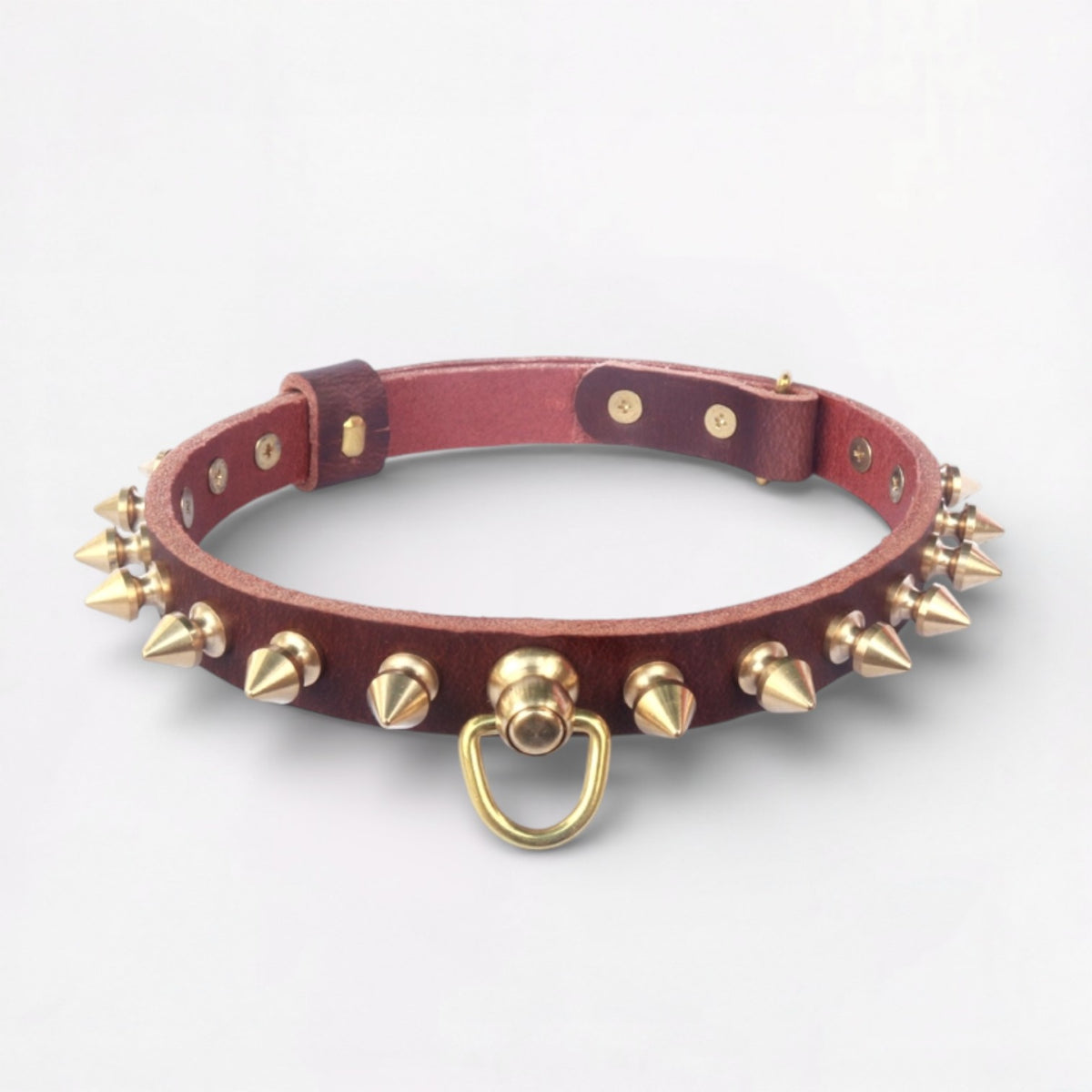 SpikeLux-Pug-Riveted-Collar.jpg