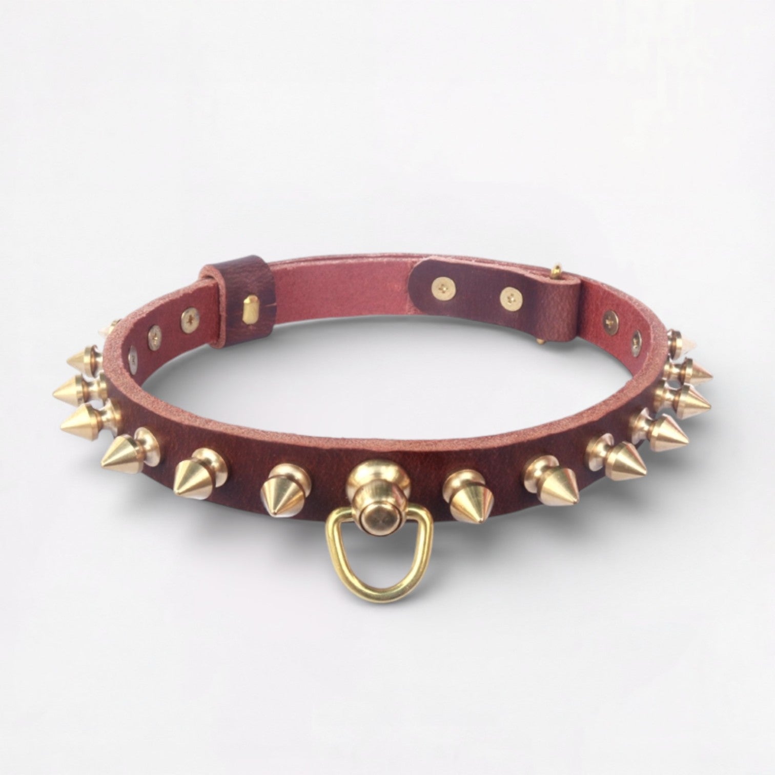 SpikeLux-Pug-Riveted-Collar.jpg