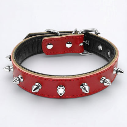 SpikeOn-Pug-Adjustable-Collar.jpg