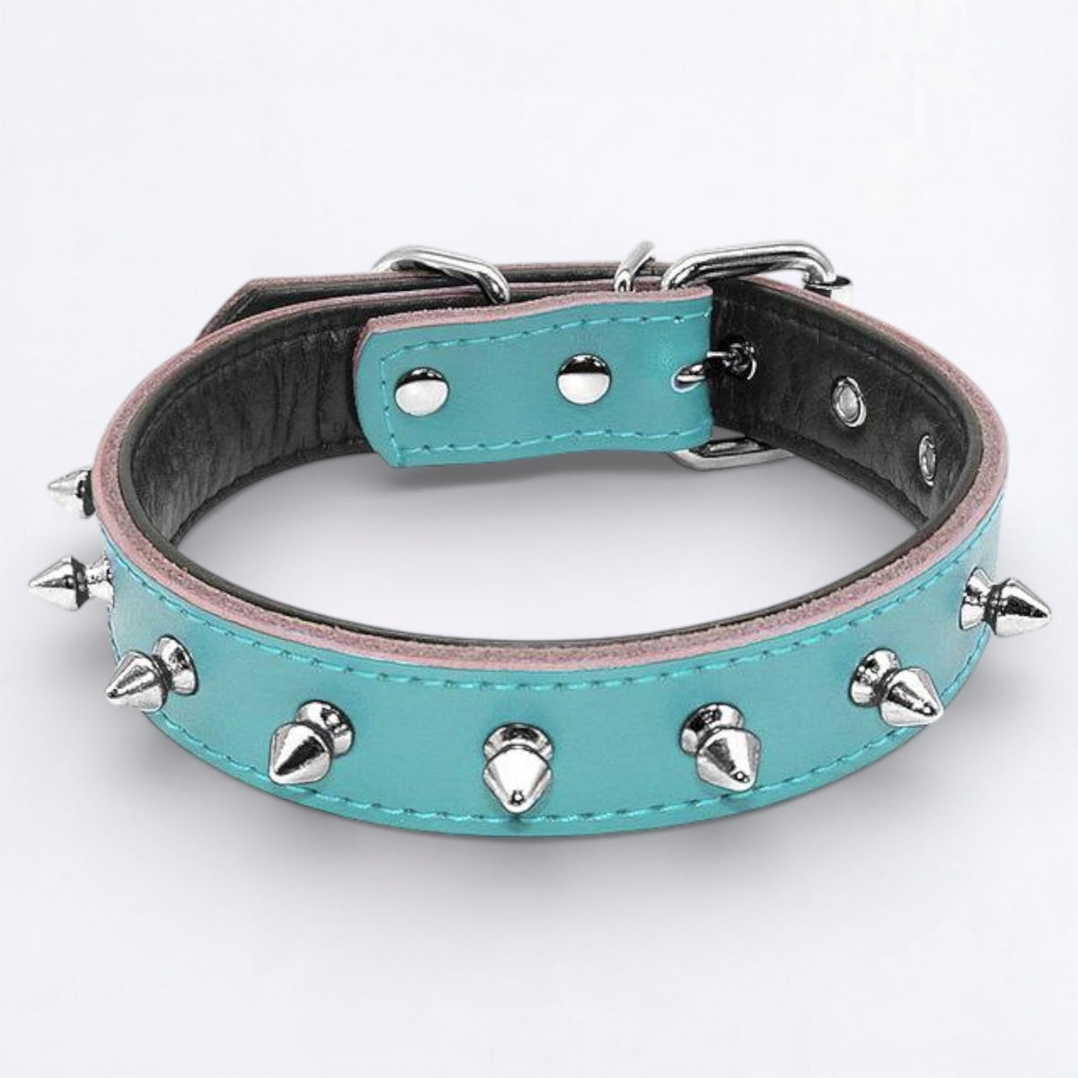 SpikeOn-Pug-Adjustable-Collar.jpg