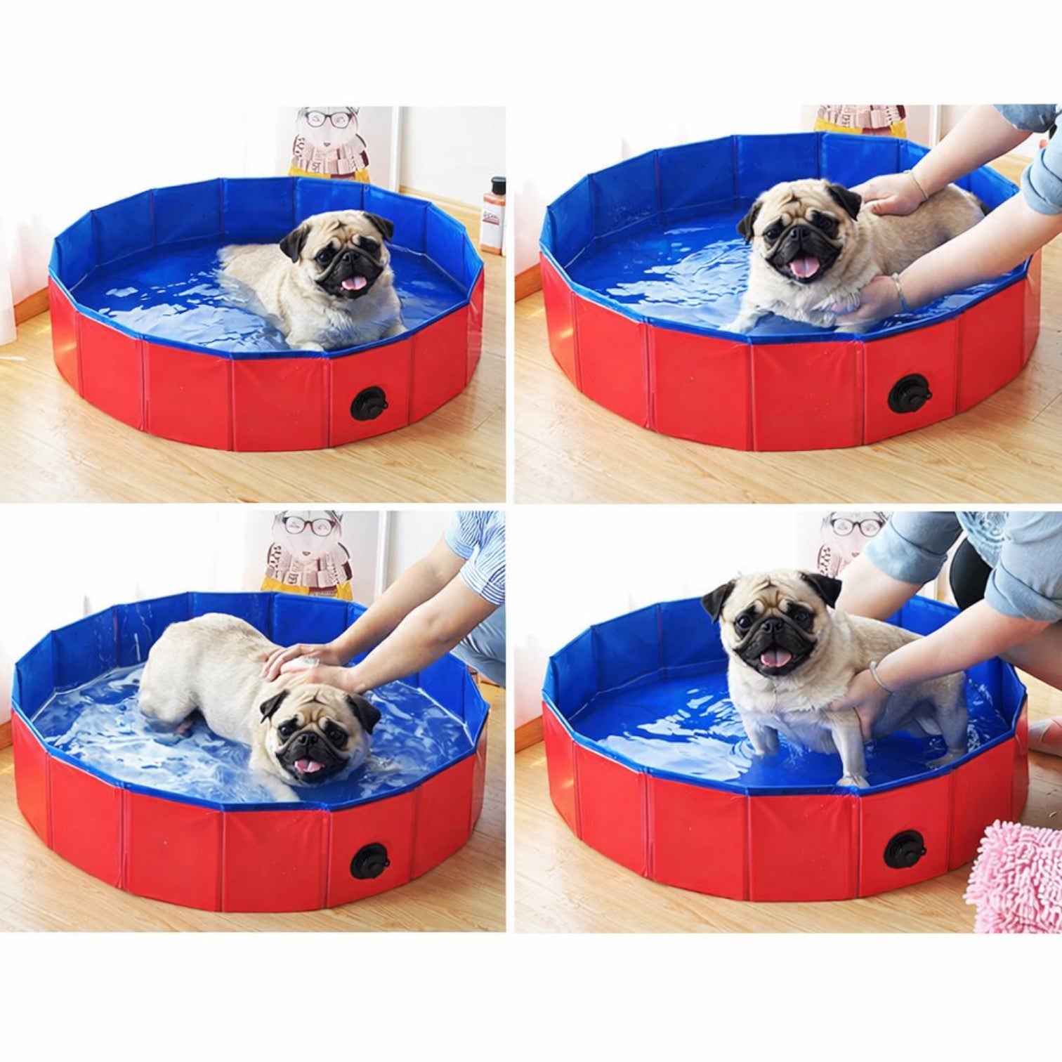 SplashPaw-Pug-Foldable-Swimming-Pool.jpg