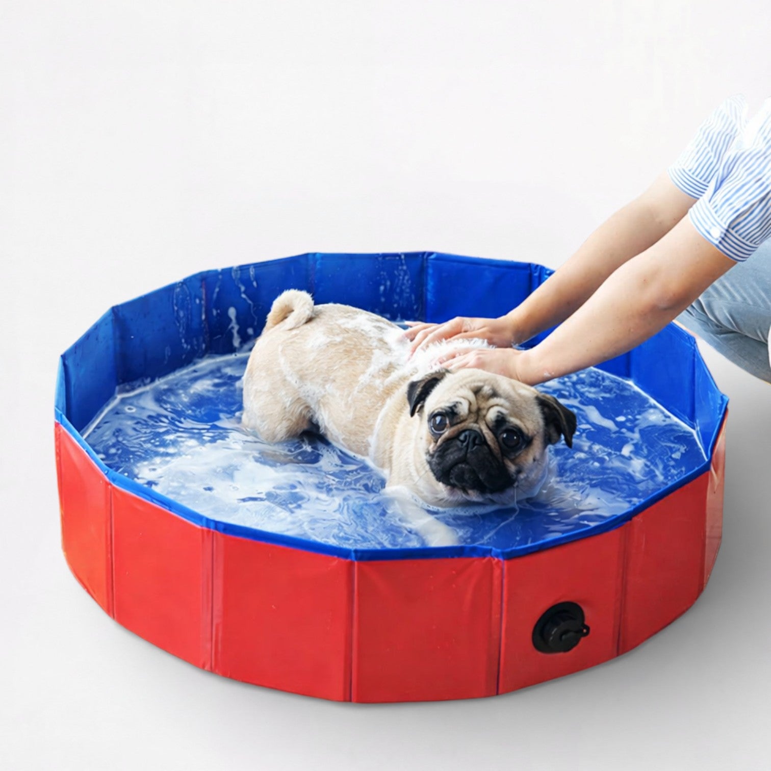SplashPaw-Pug-Foldable-Swimming-Pool.jpg