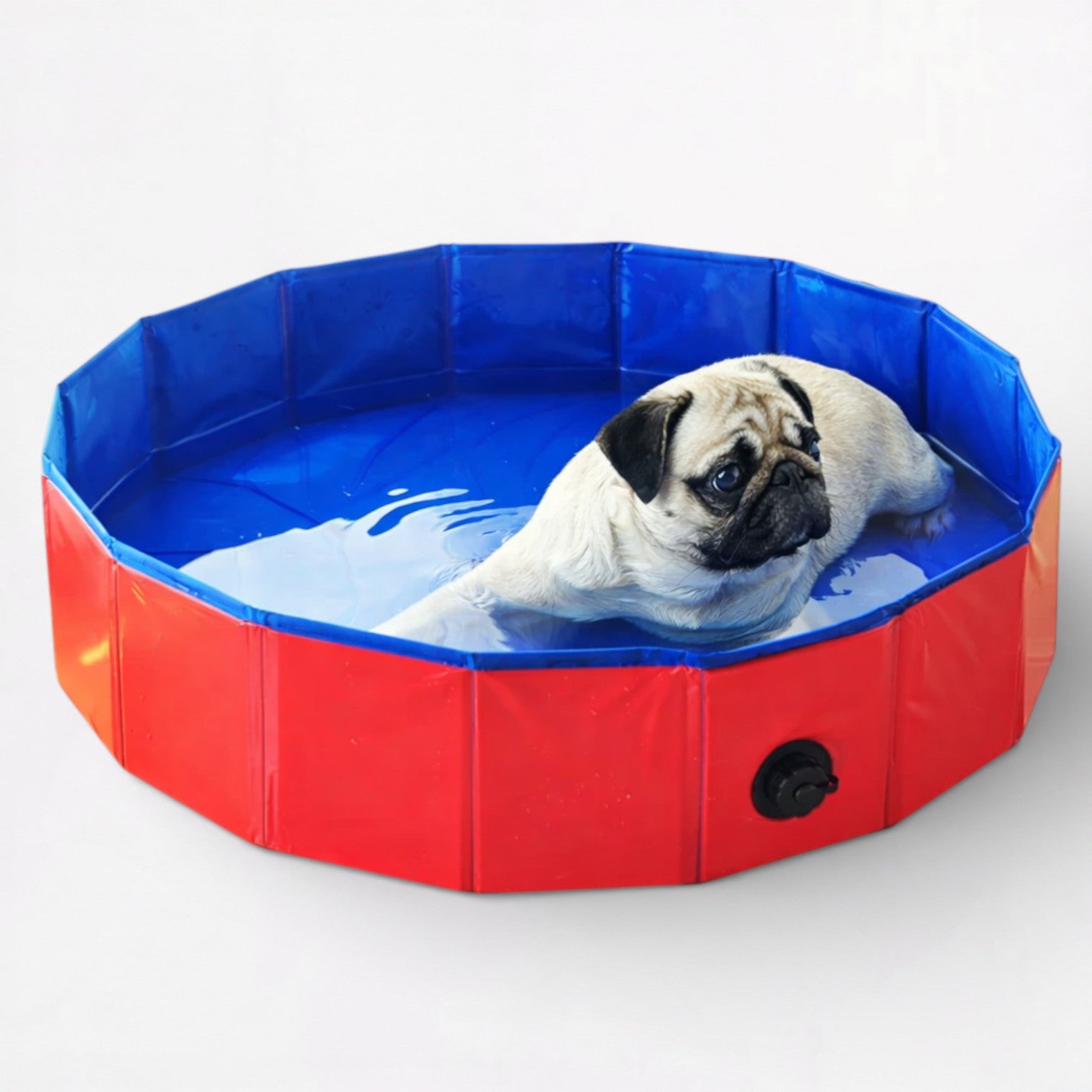 SplashPaw-Pug-Foldable-Swimming-Pool.jpg