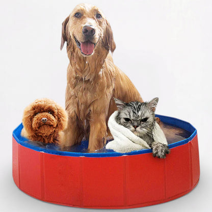 SplashPaw-Pug-Foldable-Swimming-Pool.jpg