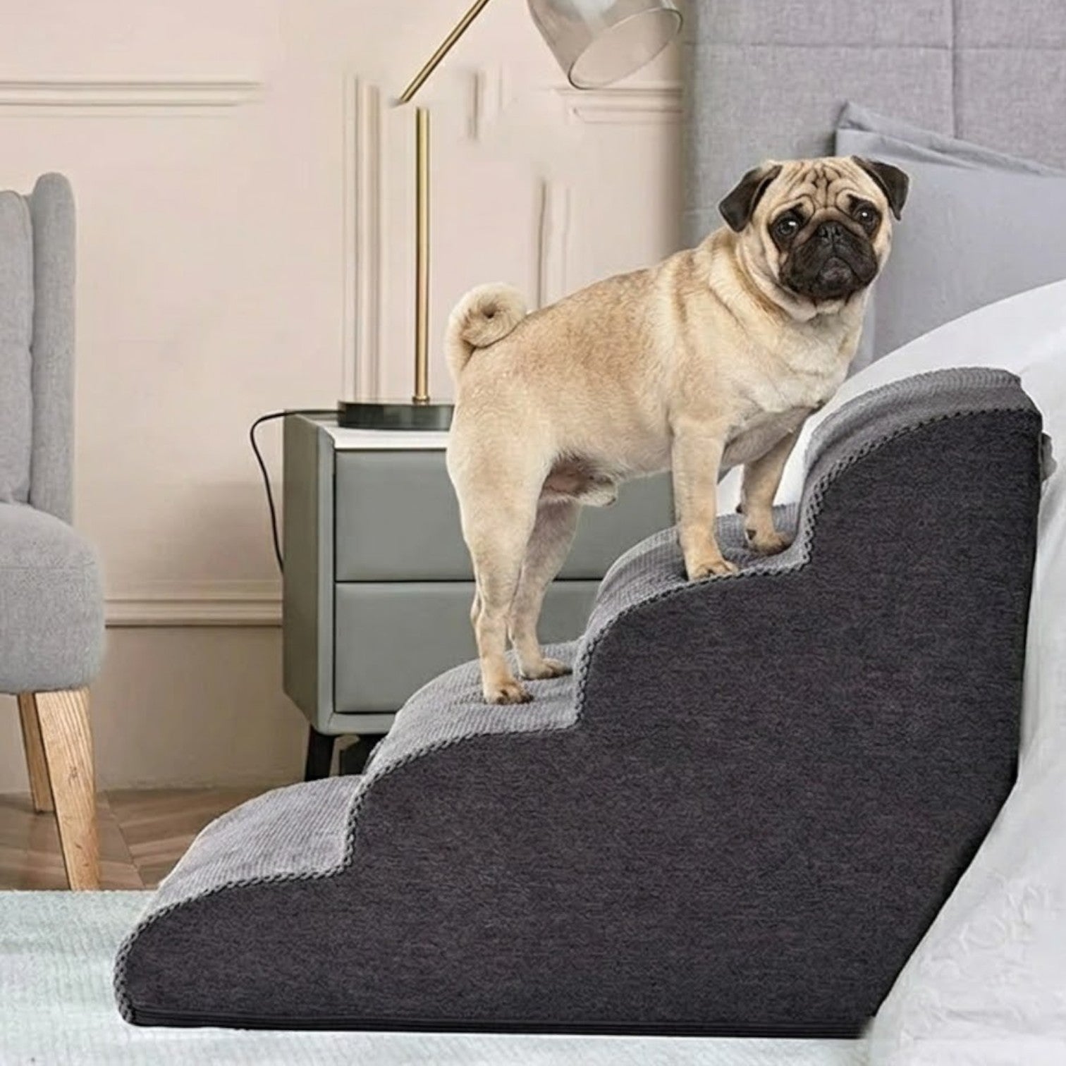 StepEase-Pug-Orthopedic-Stairs.jpg