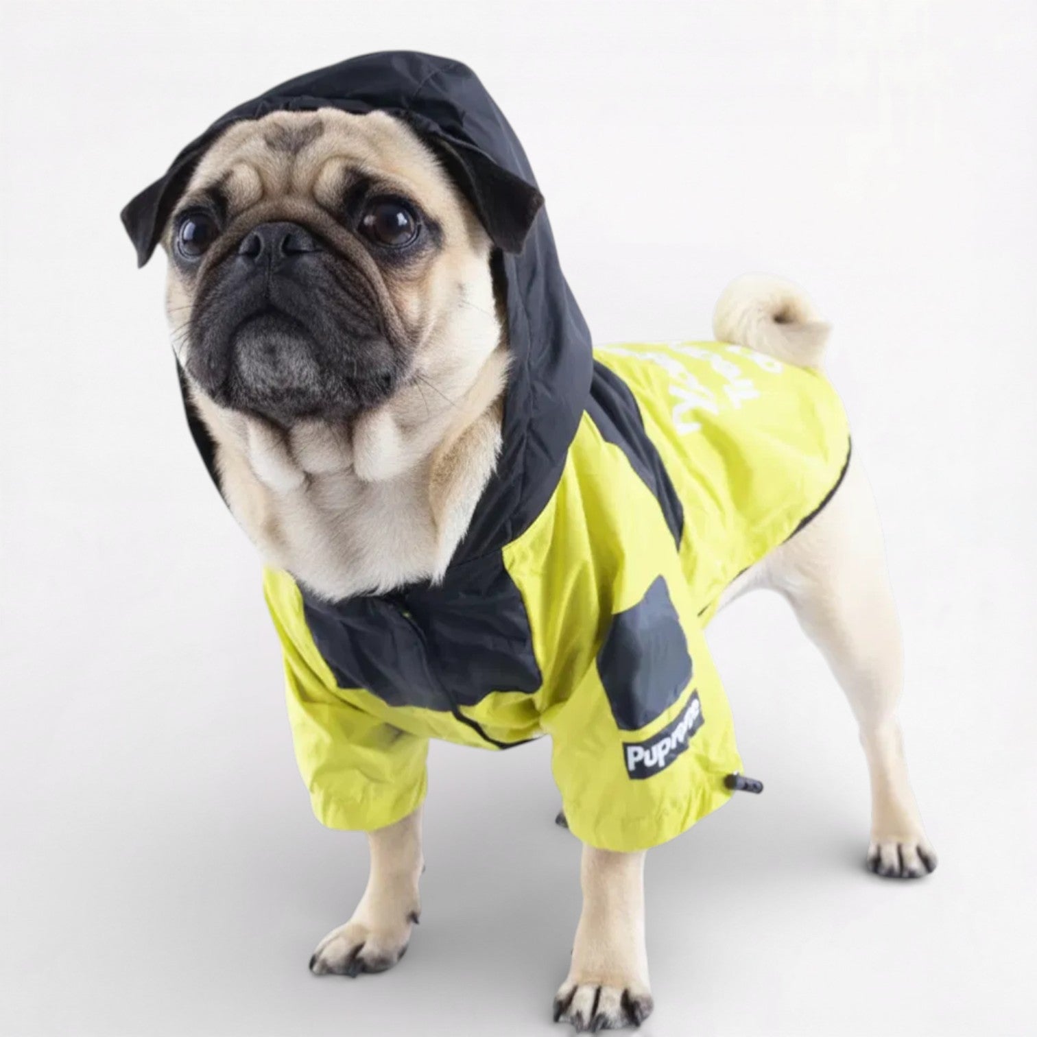 StormPaw-Pug-Raincoat.jpg