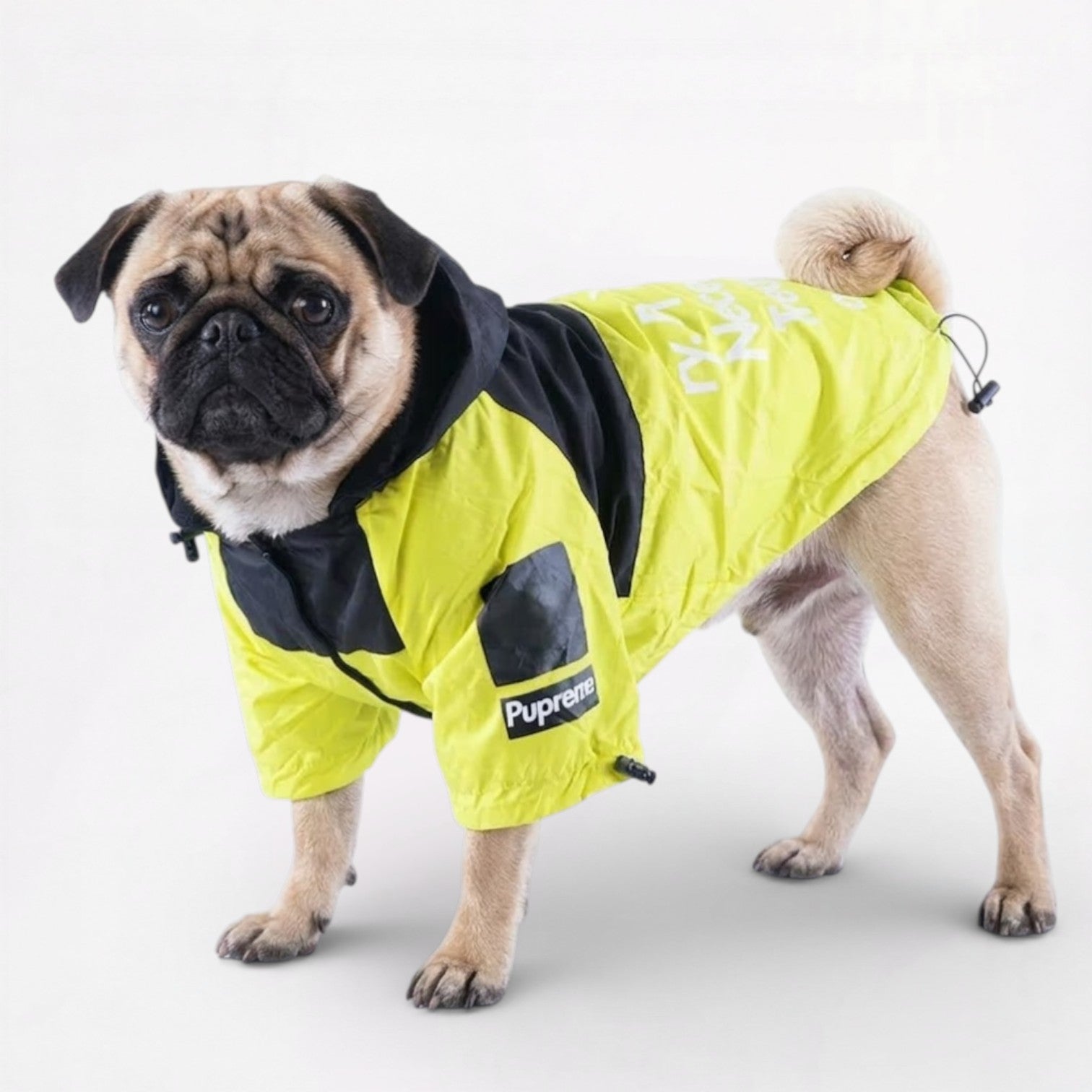 StormPaw-Pug-Raincoat.jpg