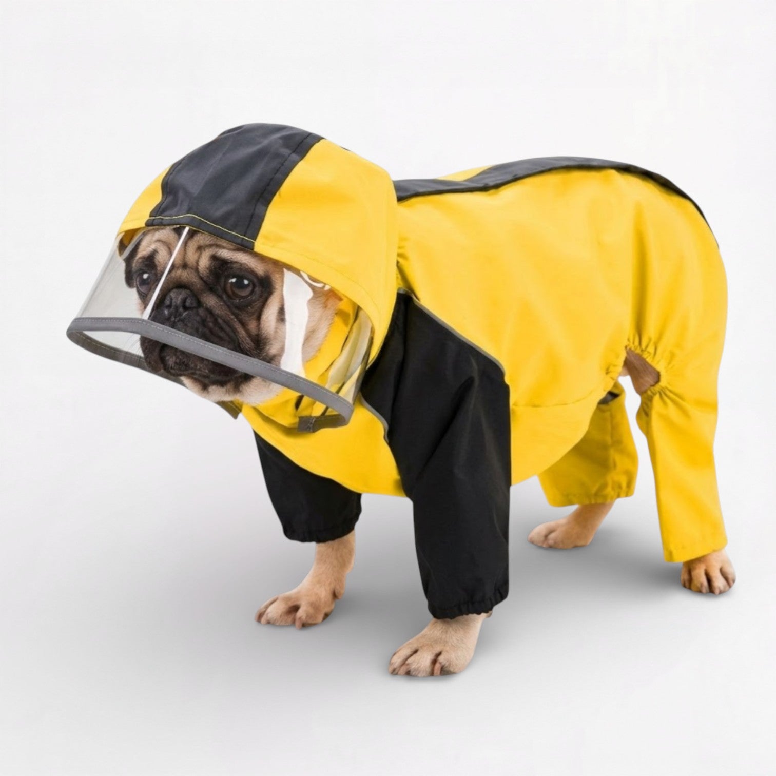 StormPaw-Pug-Waterproof-Raincoat.jpg