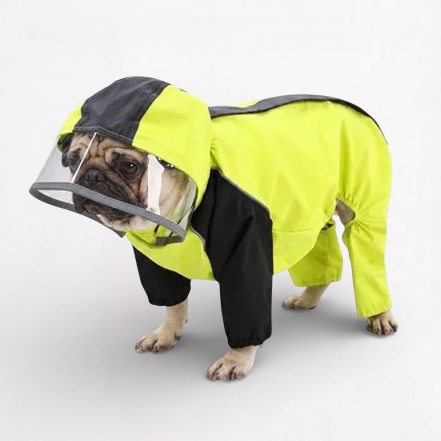 StormPaw-Pug-Waterproof-Raincoat.jpg