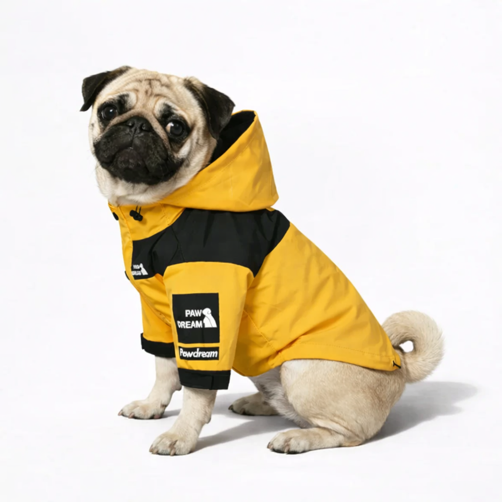 SunnyPaw-Pug-Hooded-Raincoat.jpg