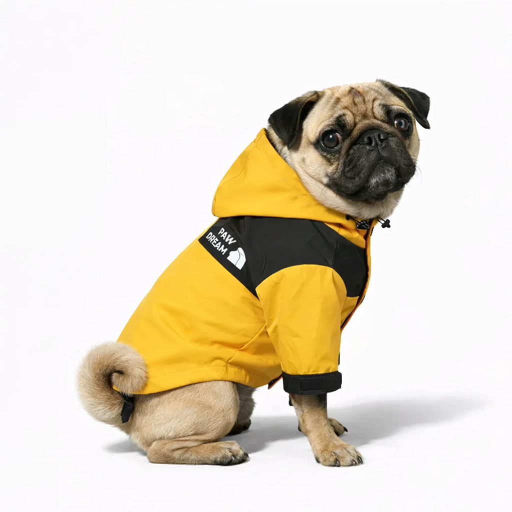 SunnyPaw-Pug-Hooded-Raincoat.jpg