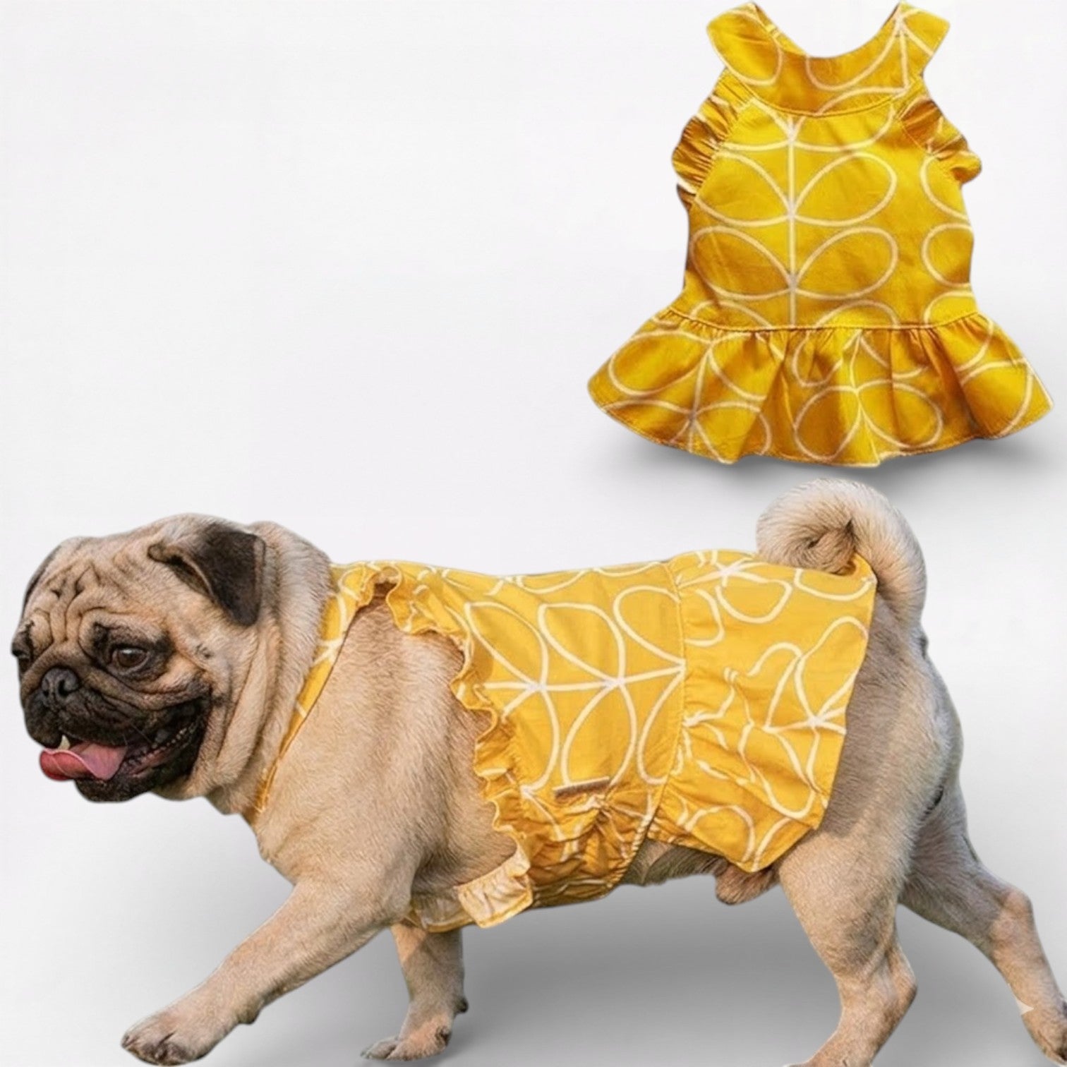 SunnyPaw-Pug-Summer-Skirt.jpg