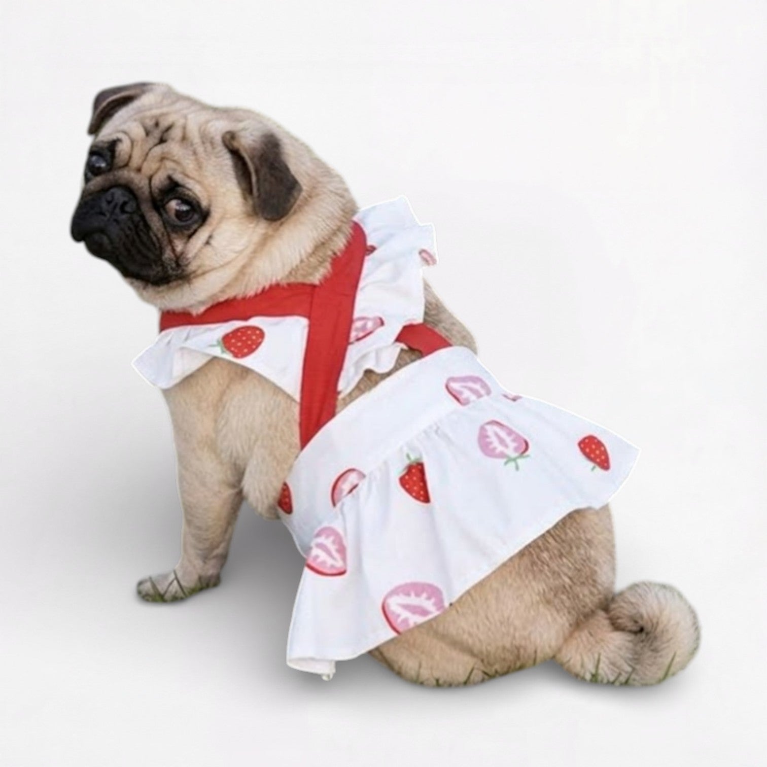 SunnyPaw-Pug-Summer-Skirt.jpg