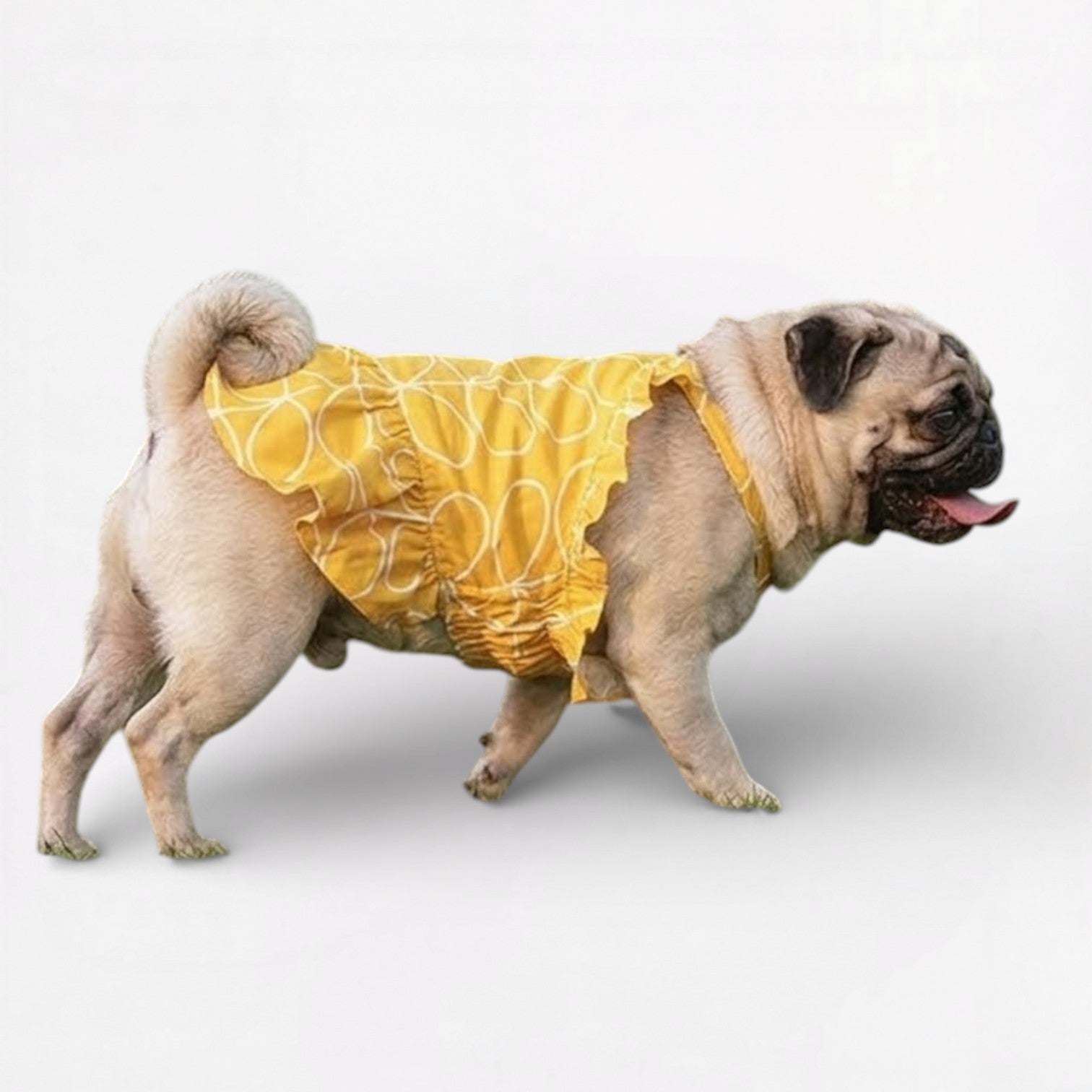SunnyPaw-Pug-Summer-Skirt.jpg