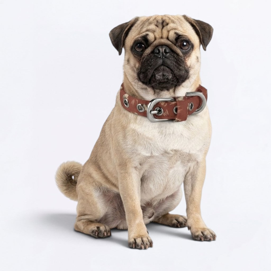 Ellie - Adjustable Pug Collar