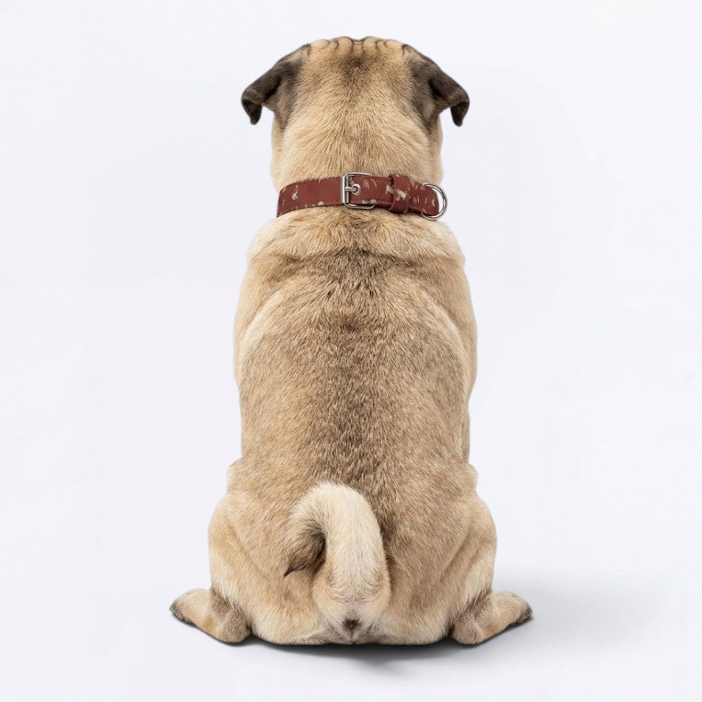 Ellie - Adjustable Pug Collar