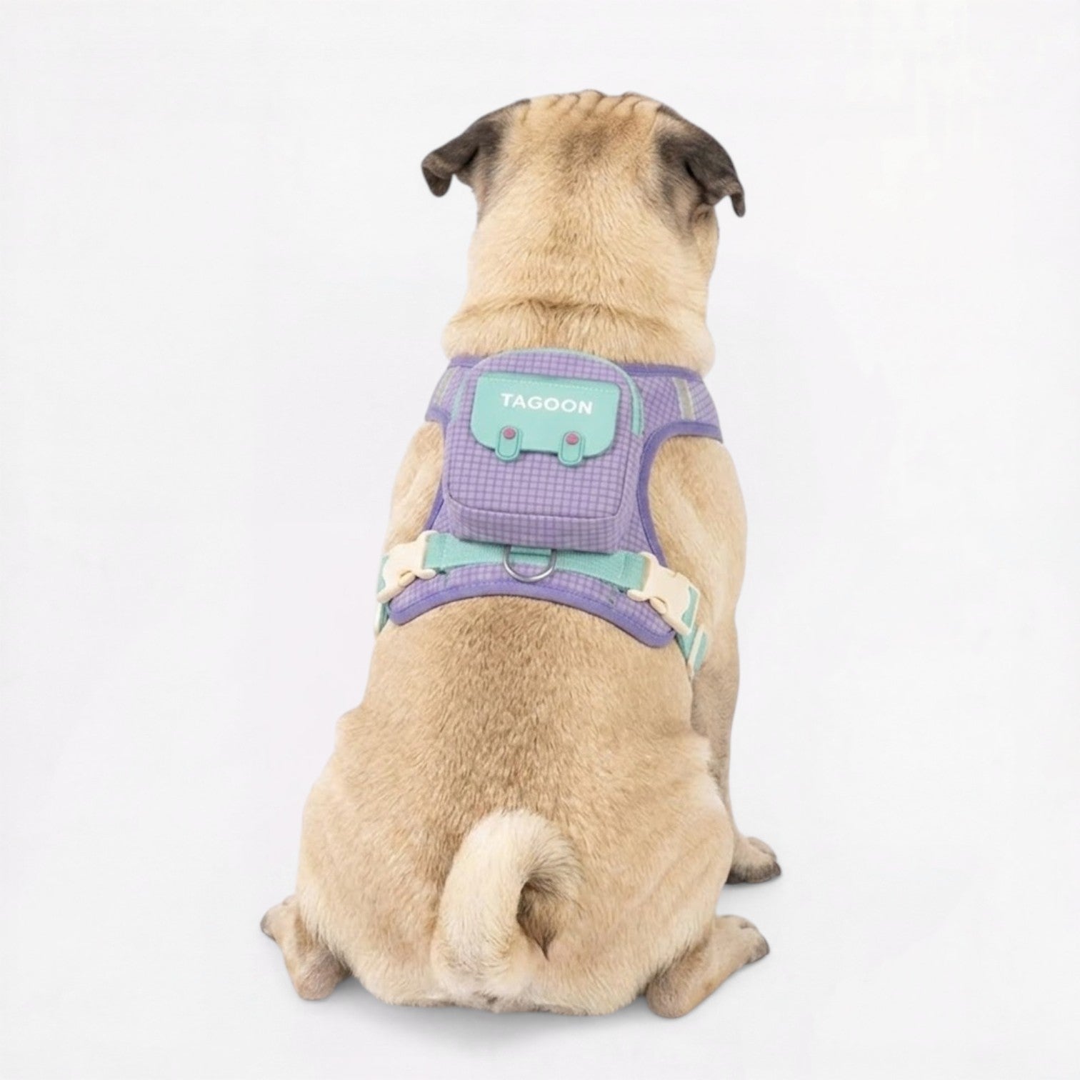 TagoPaw-Pug-Harness-Backpack.jpg