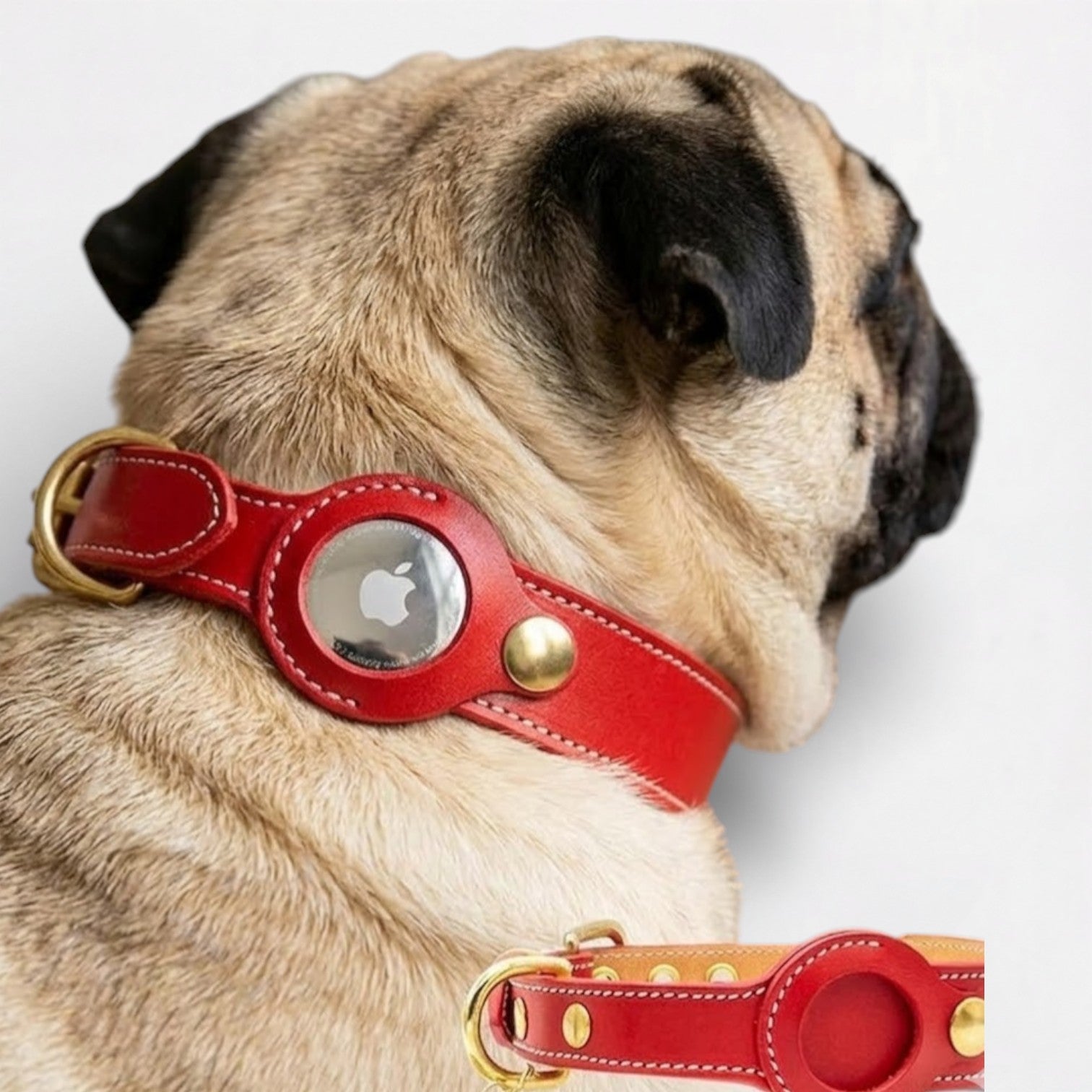 TrackPaw-Pug-Airtag-Leather-Collar.jpg