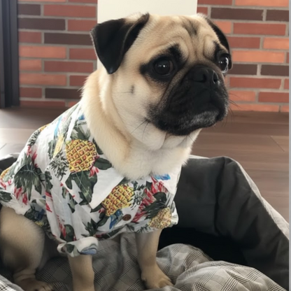 TropiPaw-Pug-Stylish-Shirts.jpg