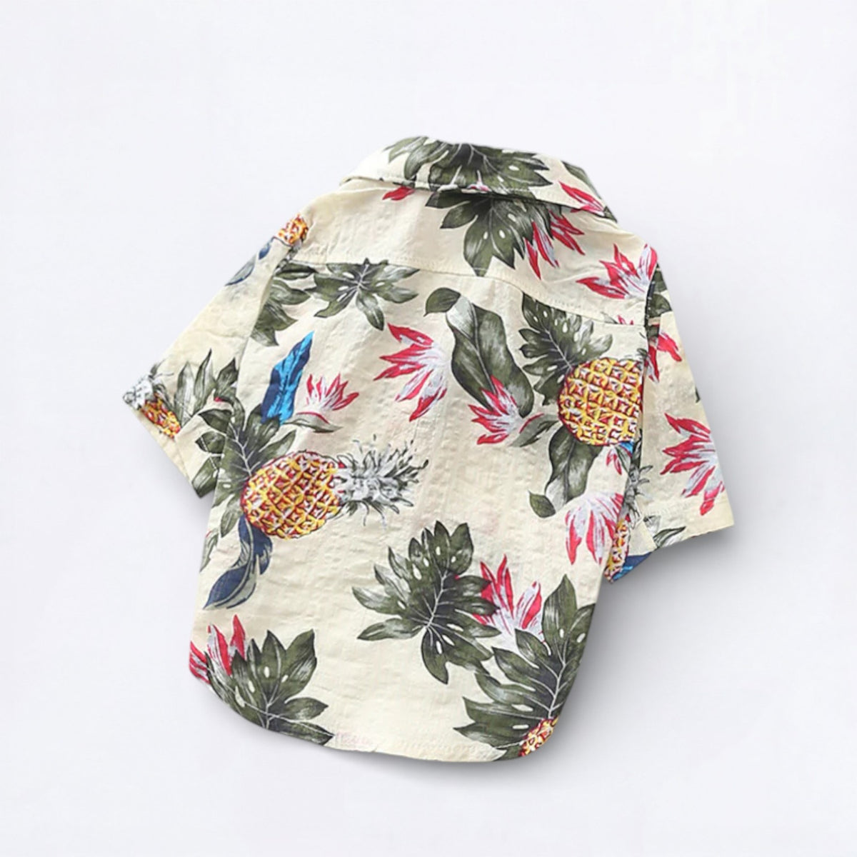TropiPaw-Pug-Stylish-Shirts.jpg