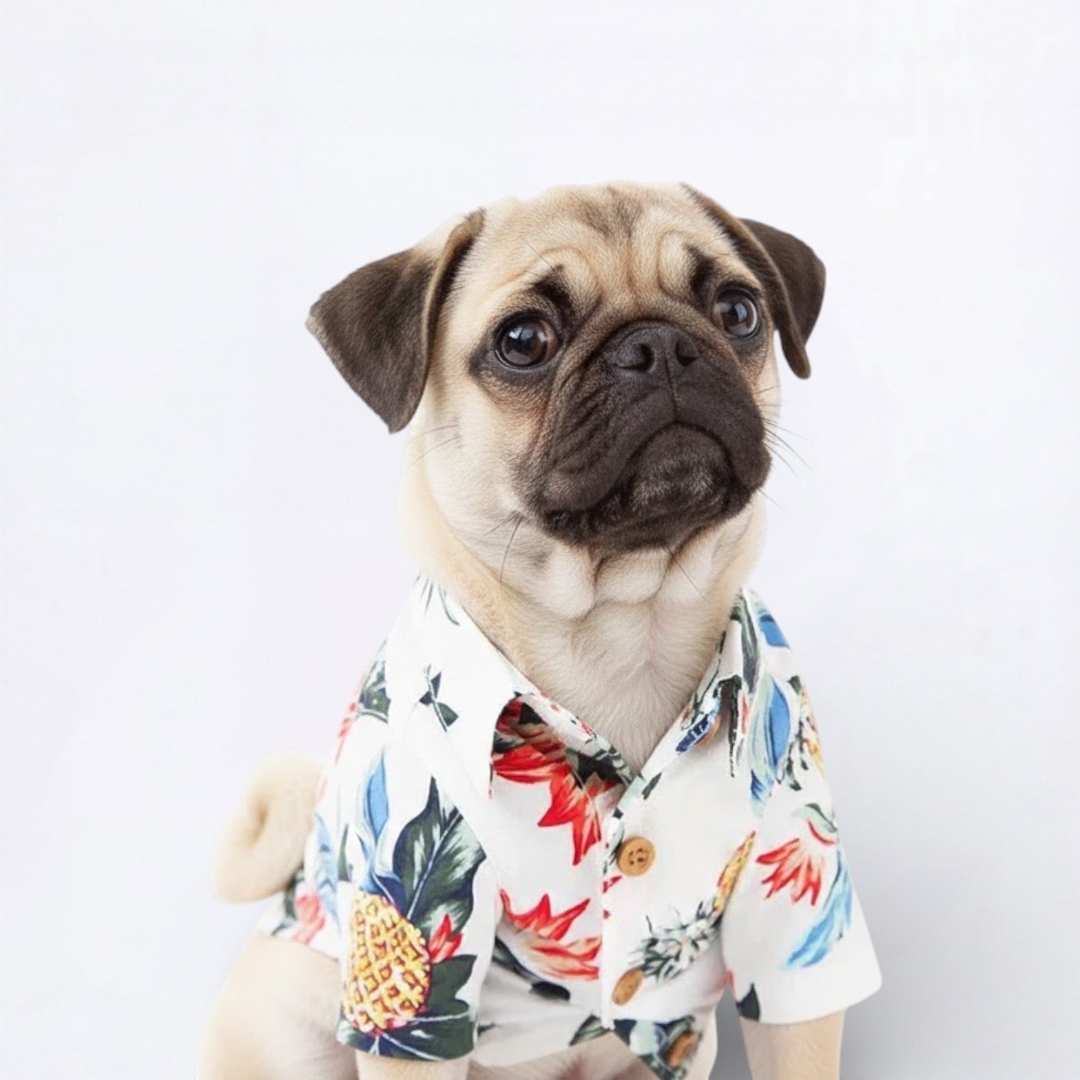 TropiPaw-Pug-Stylish-Shirts.jpg