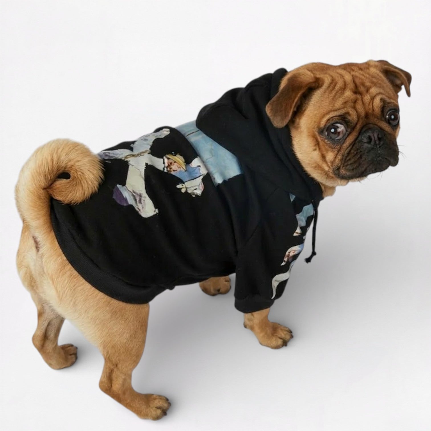 UrbanWoof-Pug-Woof-Hoodie.jpg