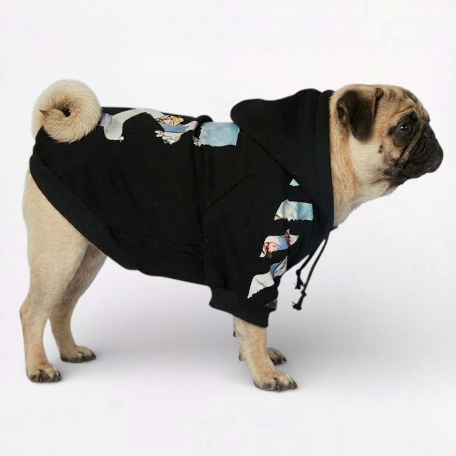 UrbanWoof-Pug-Woof-Hoodie.jpg