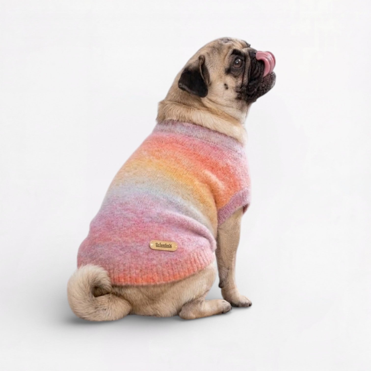 Velmora-Pug-Turtleneck-Sweater.jpg