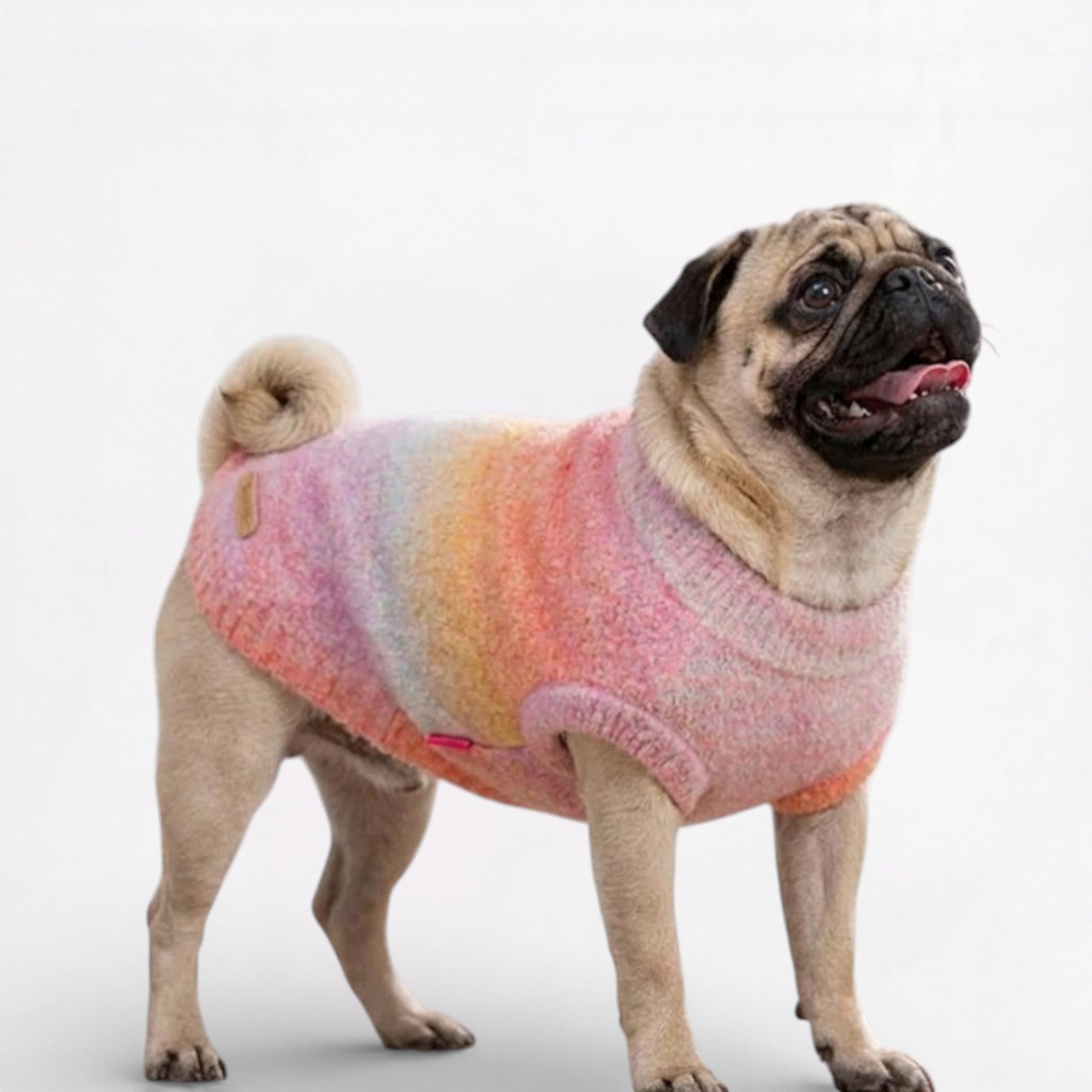 Velmora-Pug-Turtleneck-Sweater.jpg