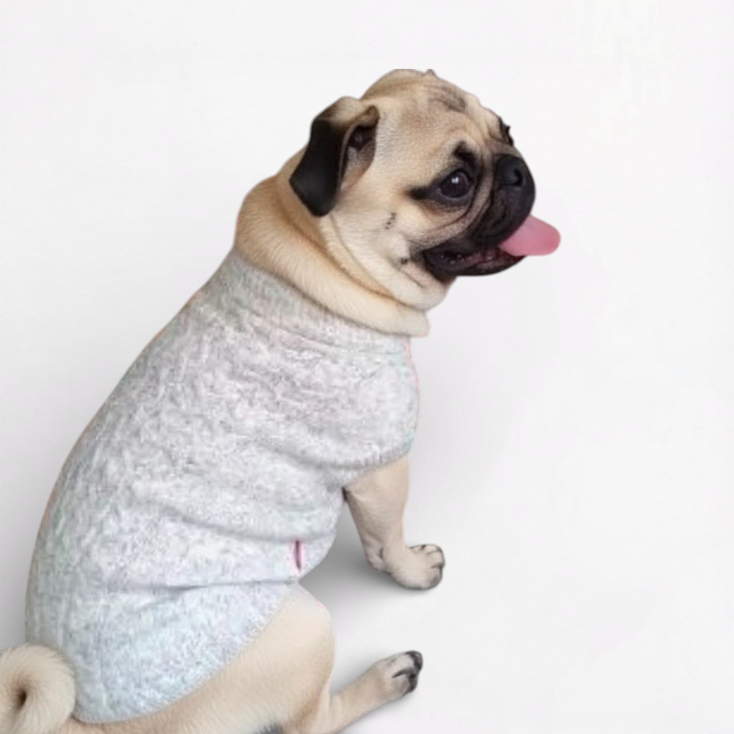 Velmora-Pug-Turtleneck-Sweater.jpg