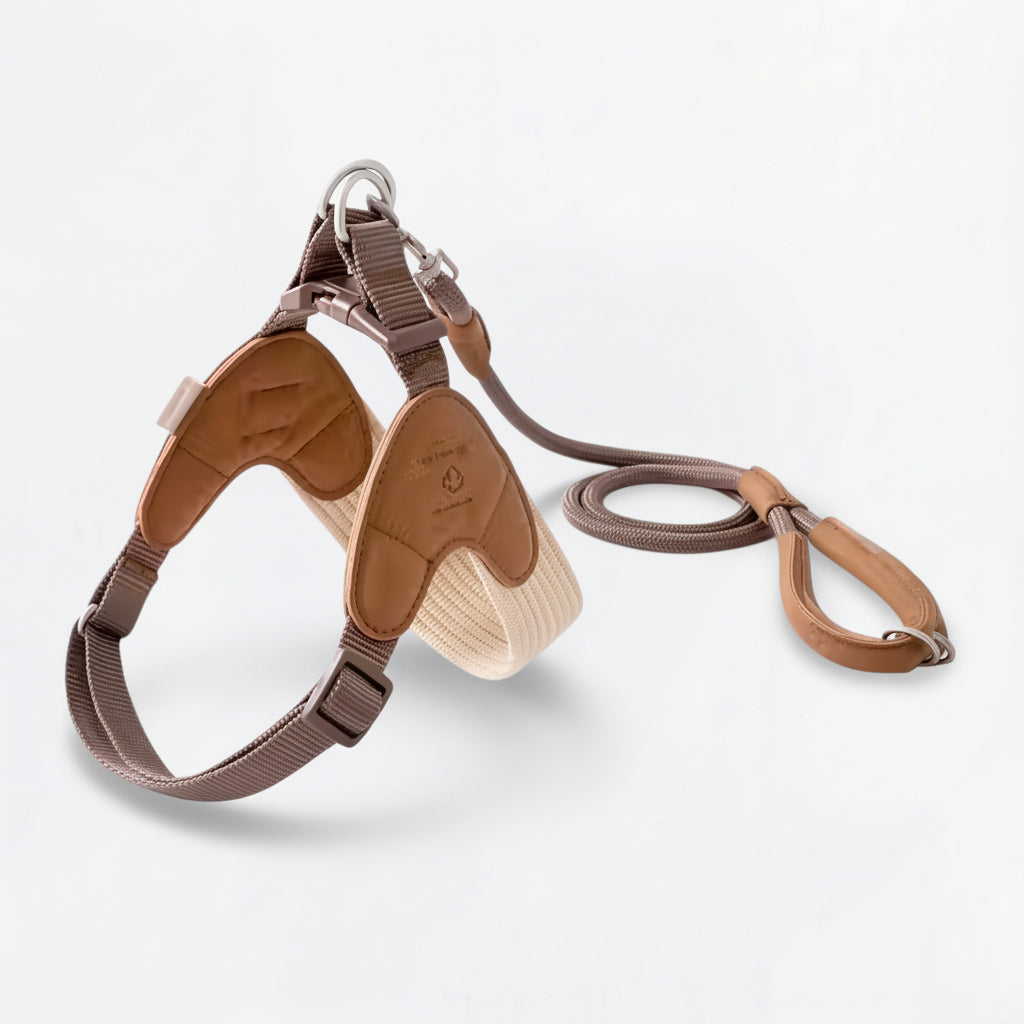 Velora-Pug-Harness-Leash-Set.jpg
