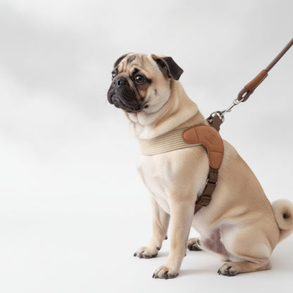 Velora-Pug-Harness-Leash-Set.jpg