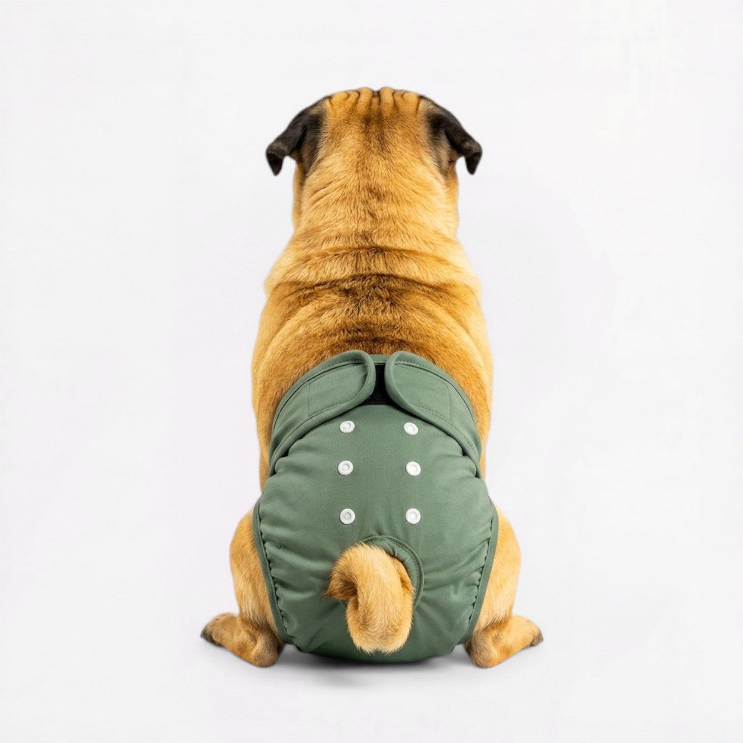Veloura-Pug-Adjustable-Diaper.jpg