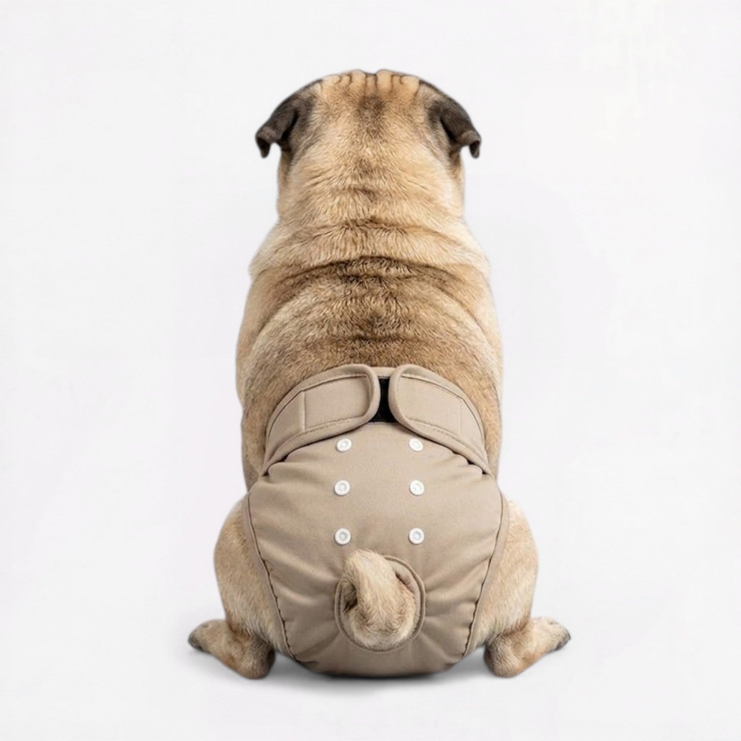 Veloura-Pug-Adjustable-Diaper.jpg
