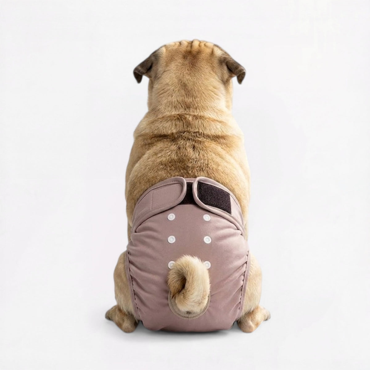 Veloura-Pug-Adjustable-Diaper.jpg