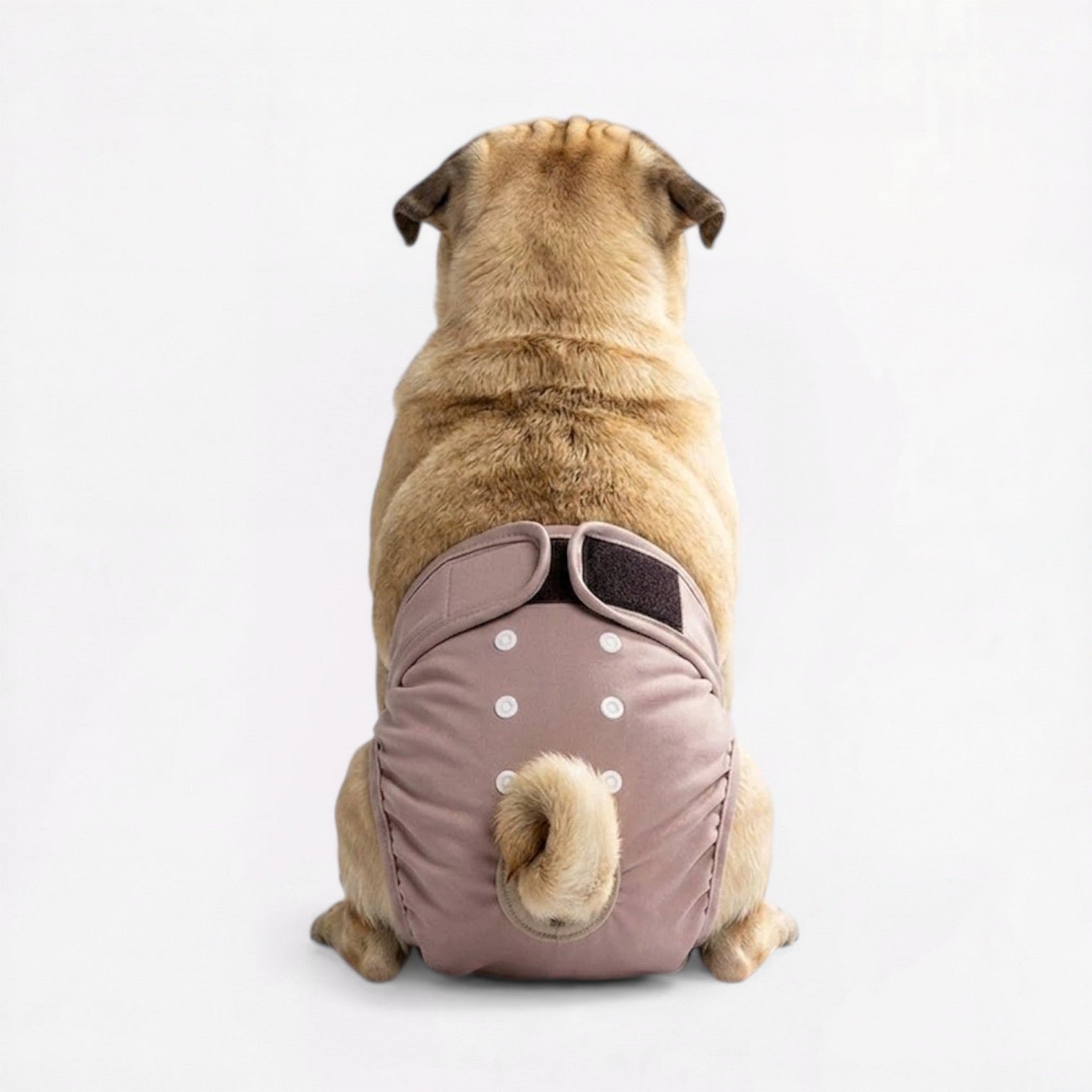Veloura-Pug-Adjustable-Diaper.jpg