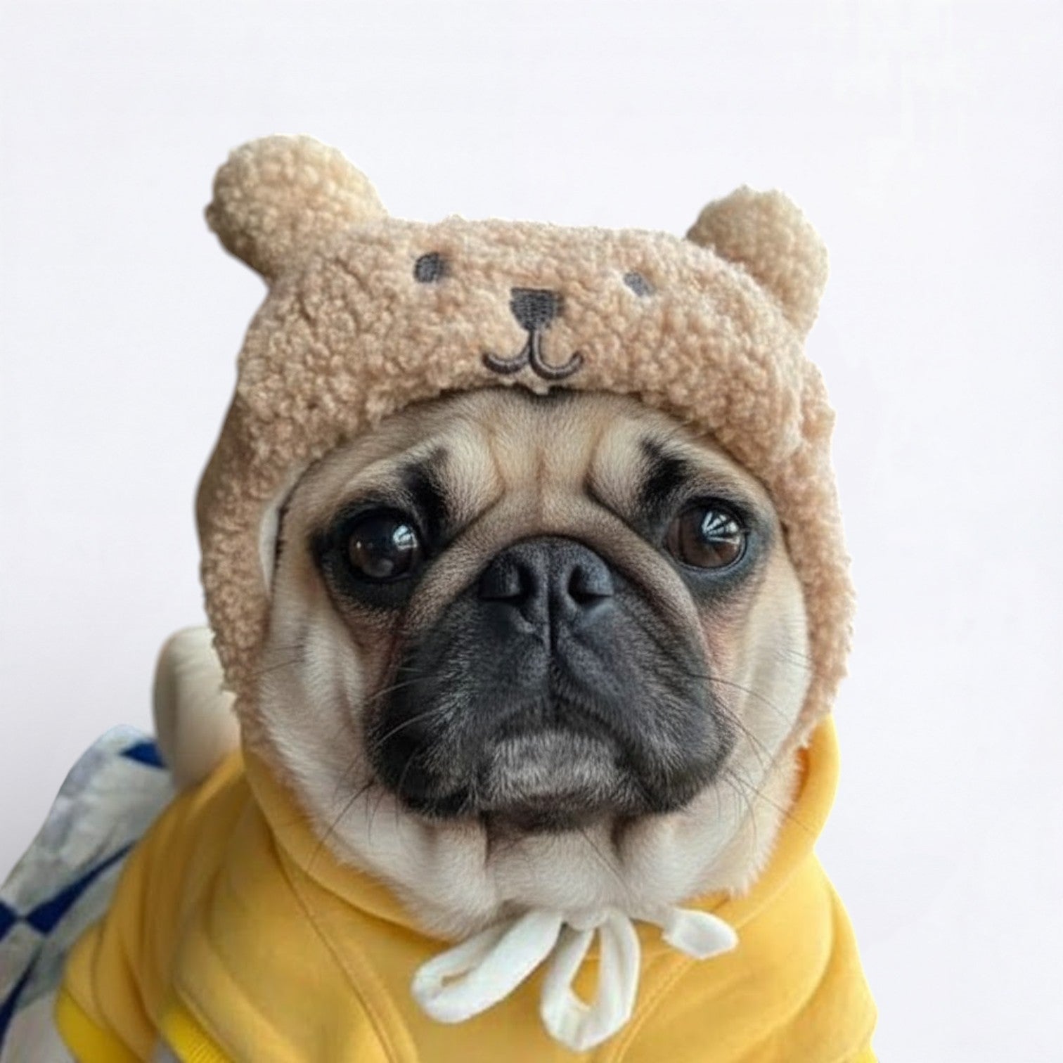 WoolyPaw-Pug-Adorable-Winter-Hat.jpg
