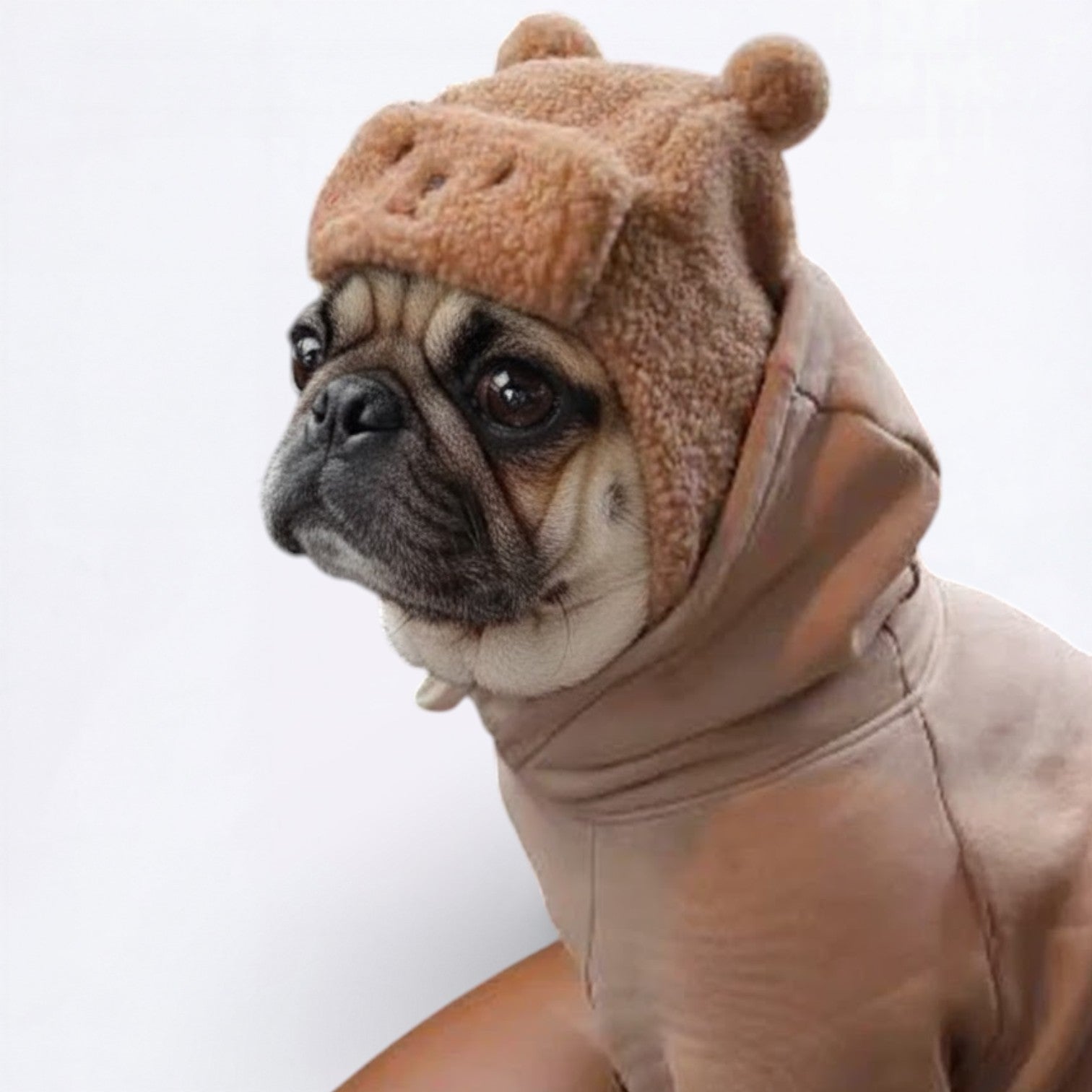WoolyPaw-Pug-Adorable-Winter-Hat.jpg