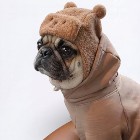 WoolyPaw-Pug-Adorable-Winter-Hat.jpg